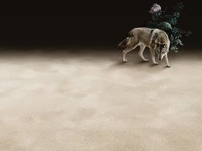 Pure Wool carpet in three colors
