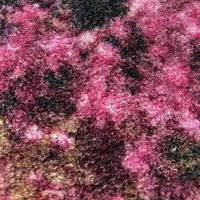 Samples of digitally printed carpets