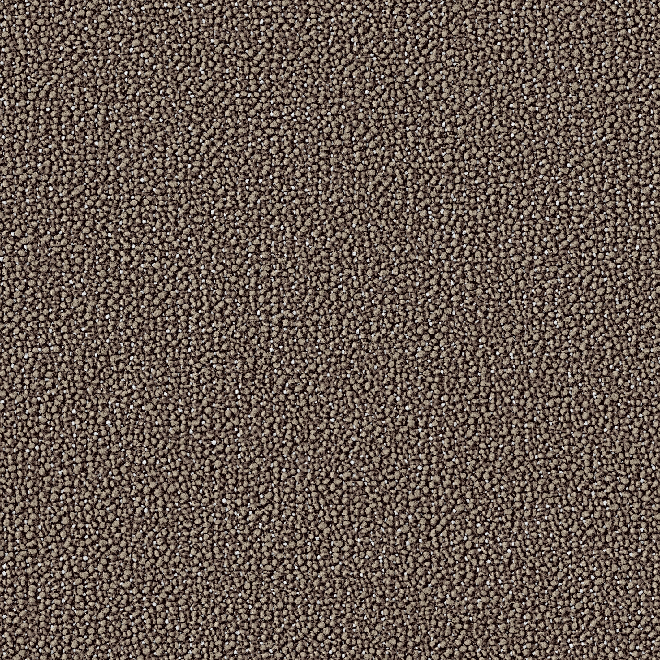 0960 Coconut