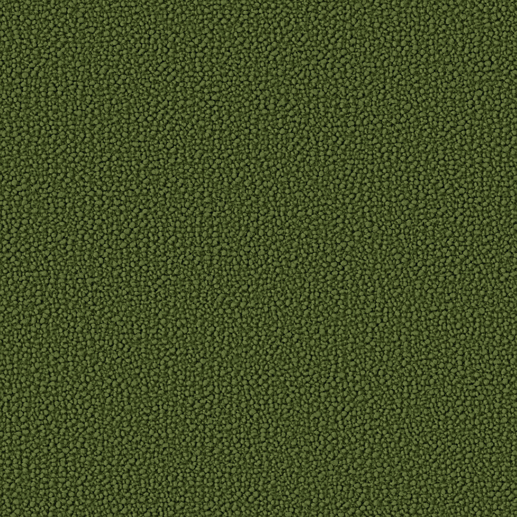 0967 Pinie