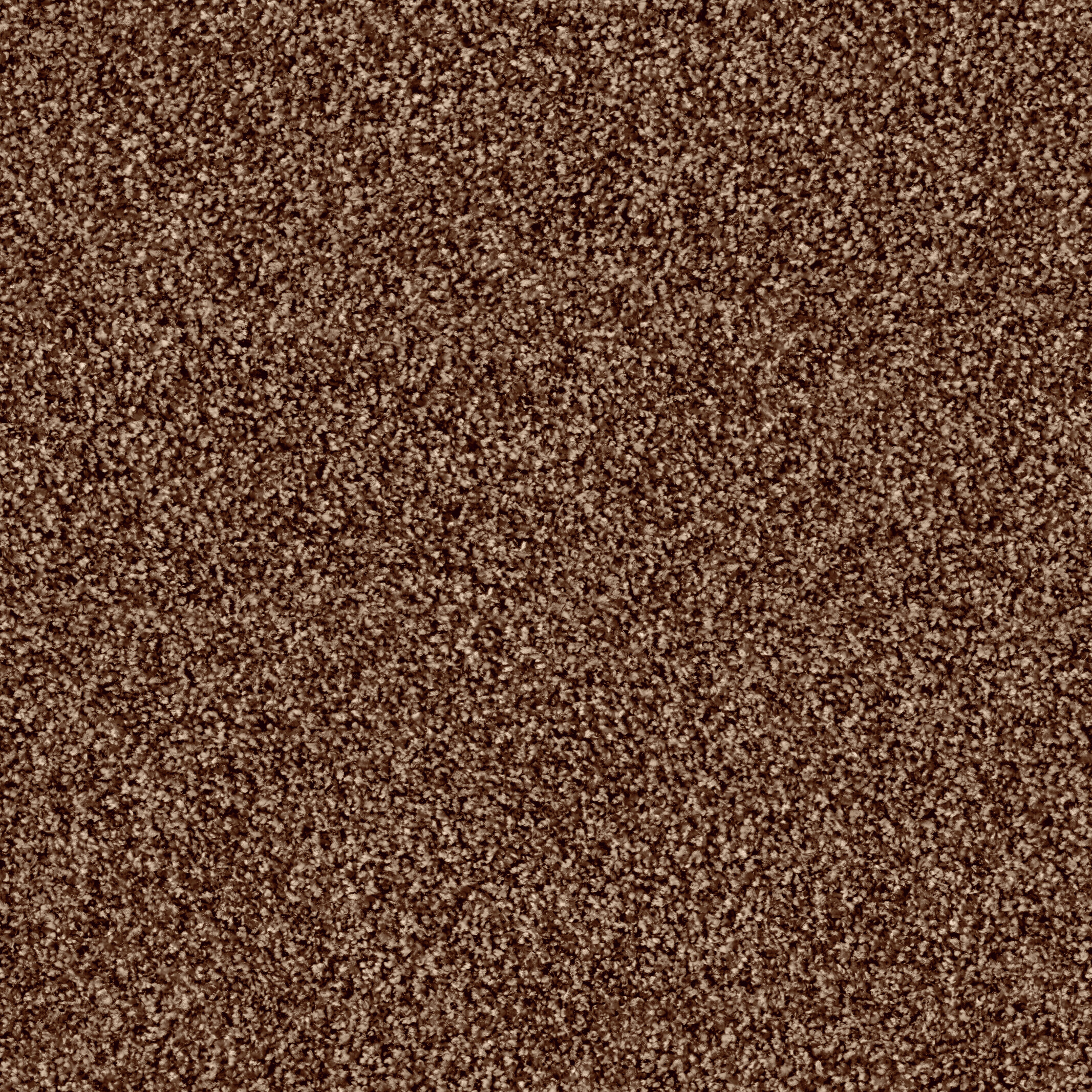 1507 Teddy