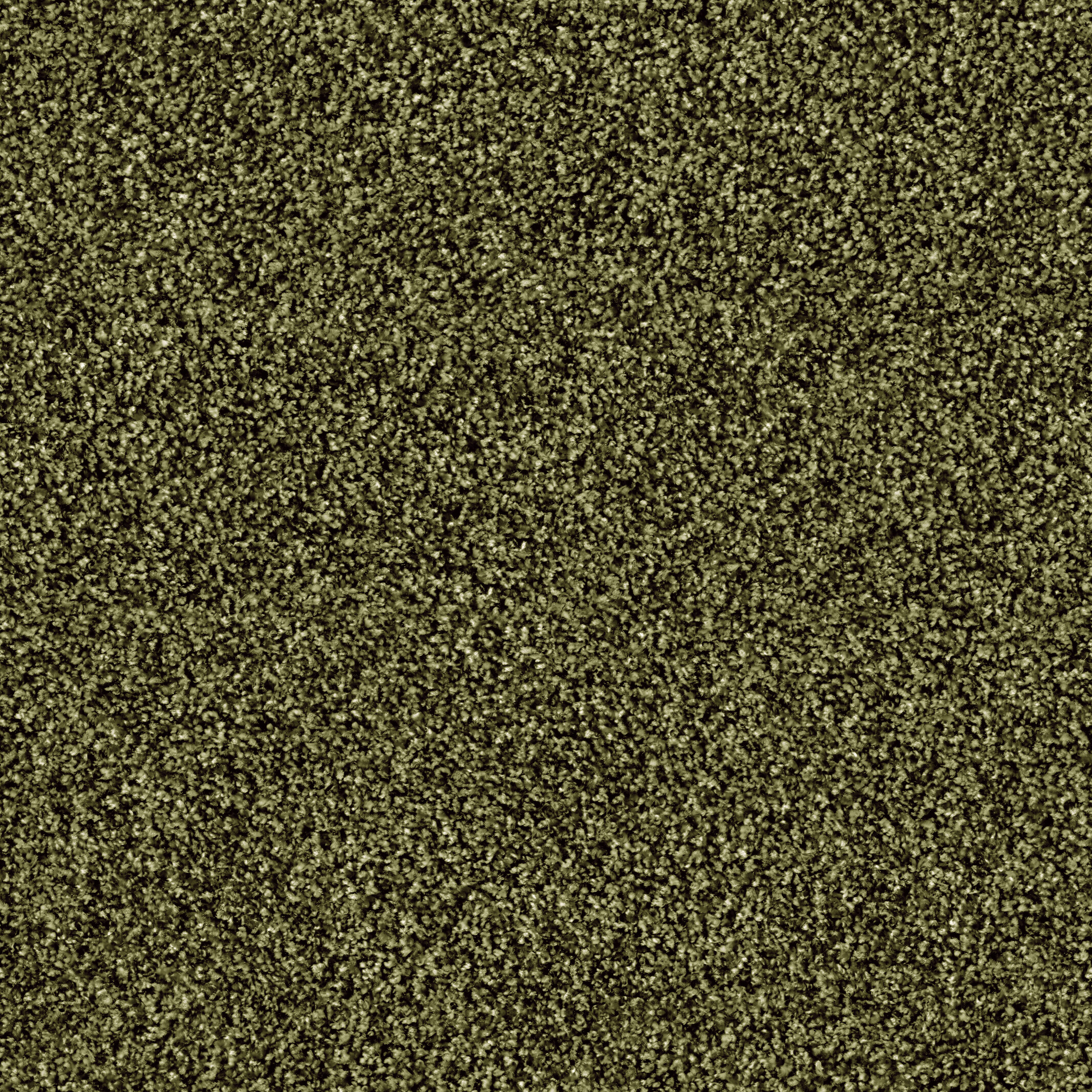 1510 Thymian