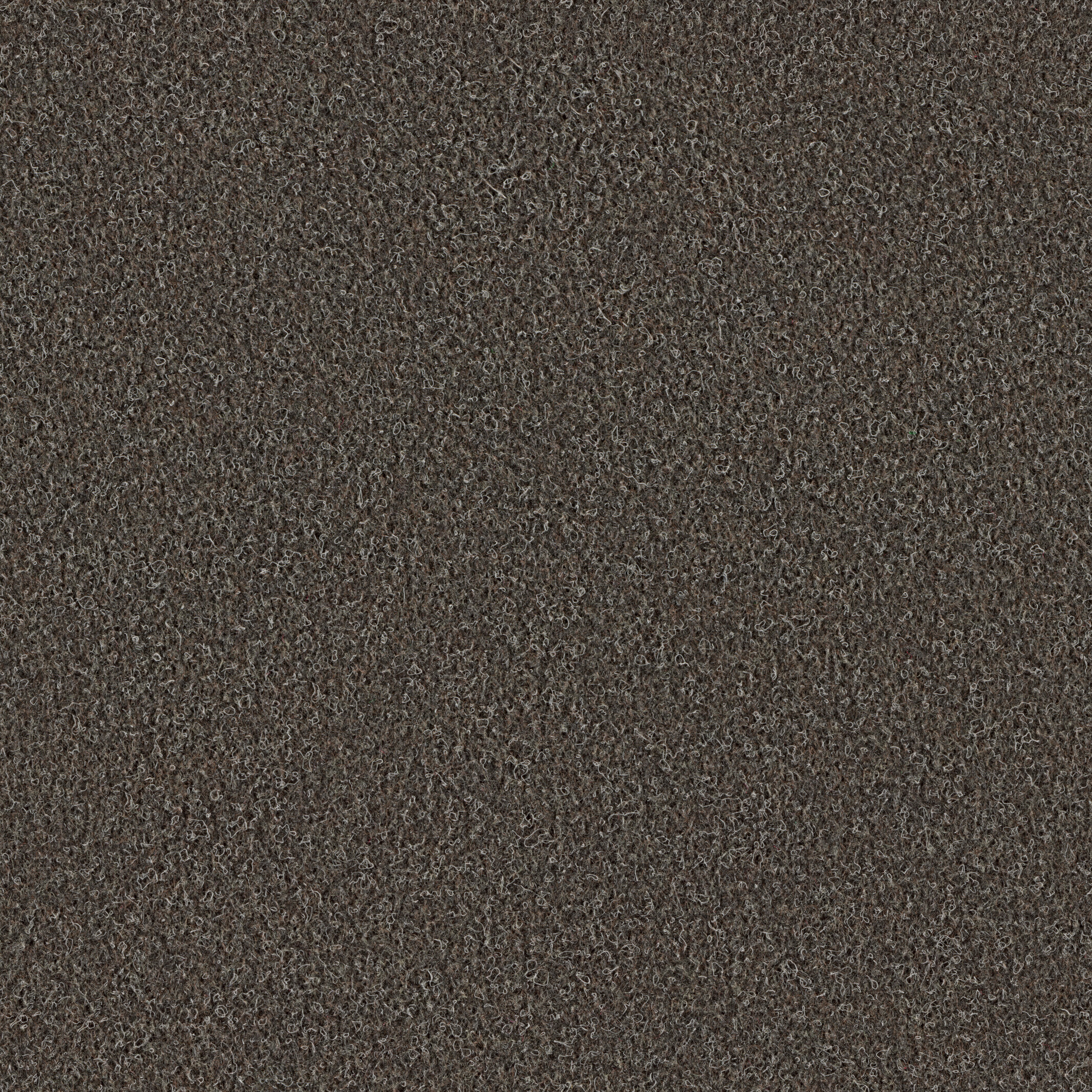 0569 Dark Brown