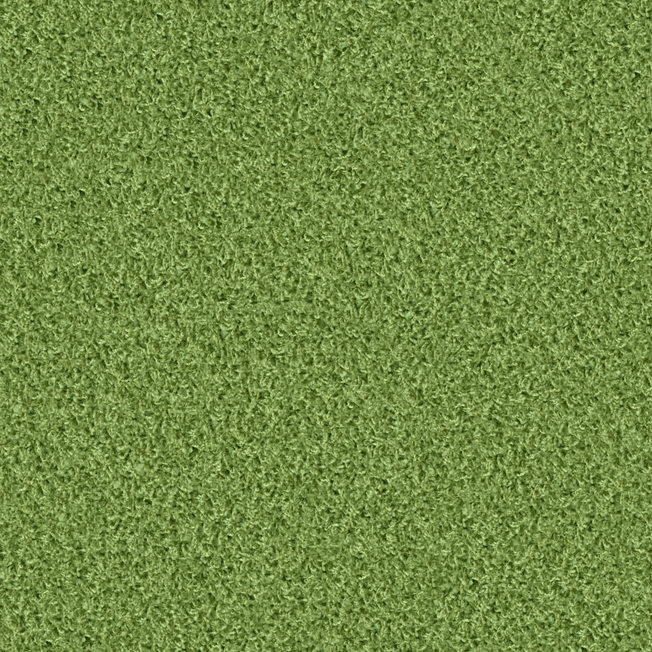 1422 Grashopper