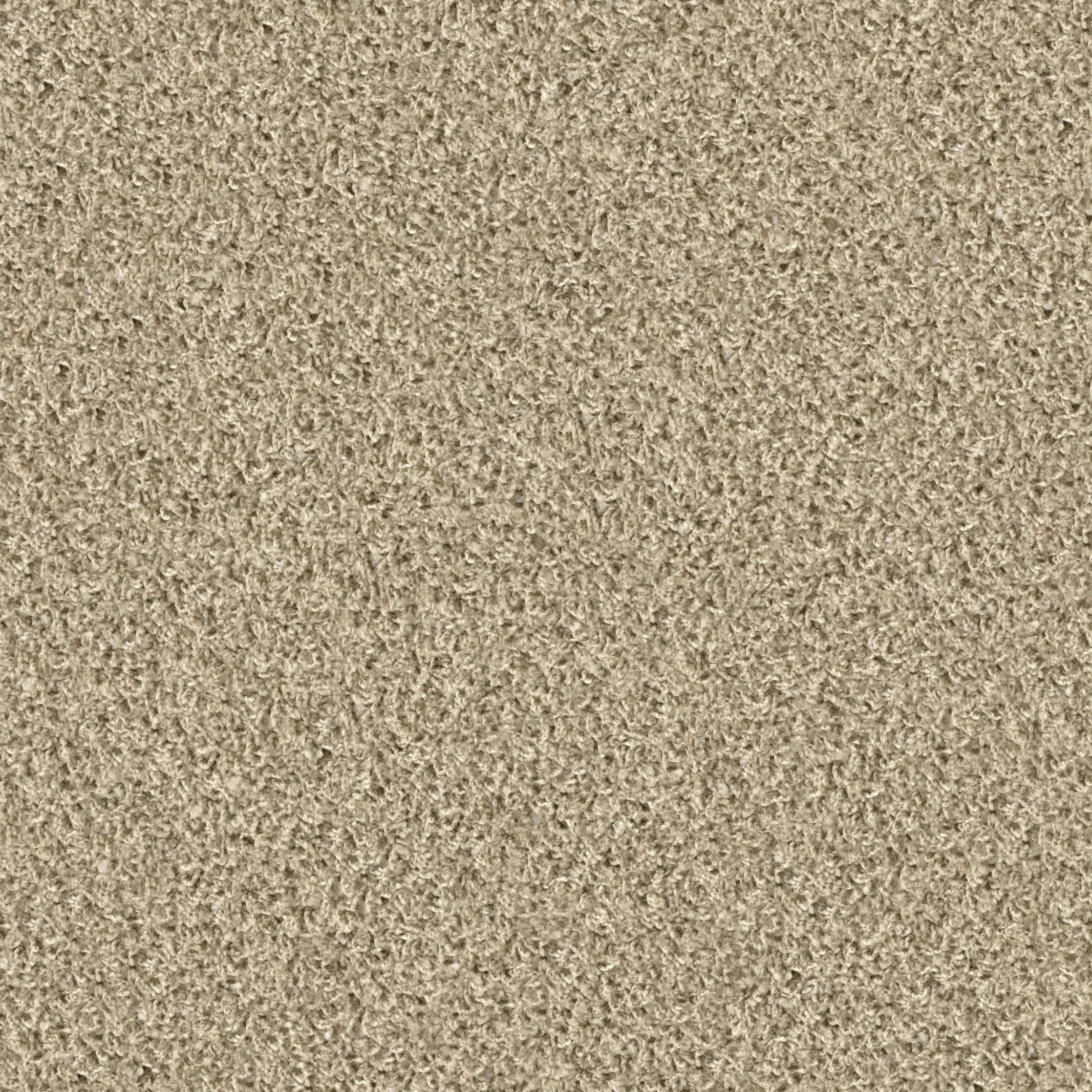 1406 Bisquit