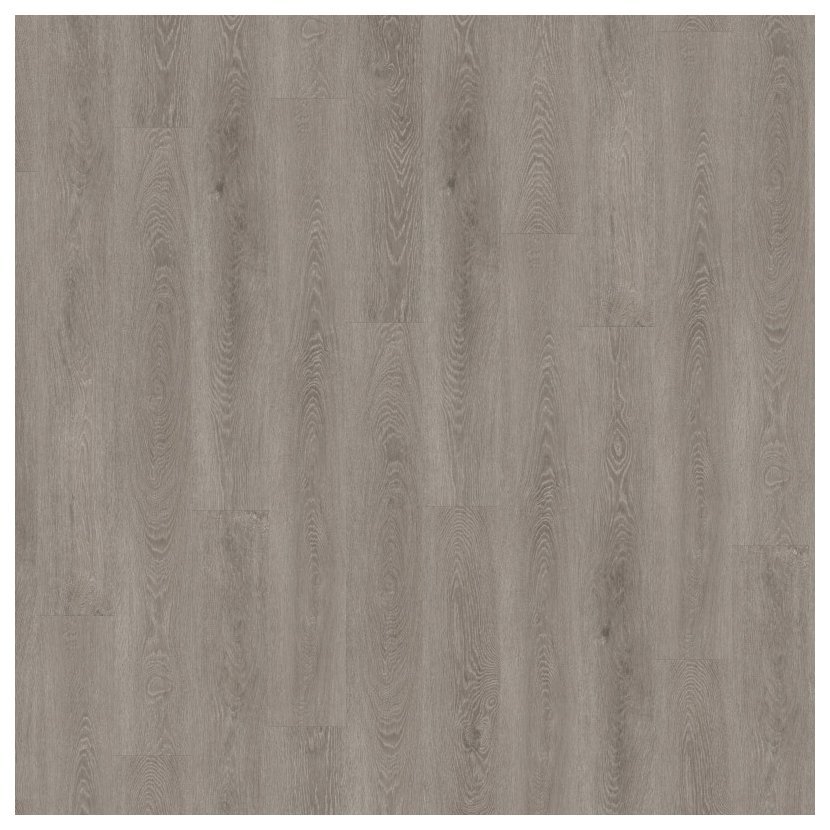 2483 Freshwater Oak
