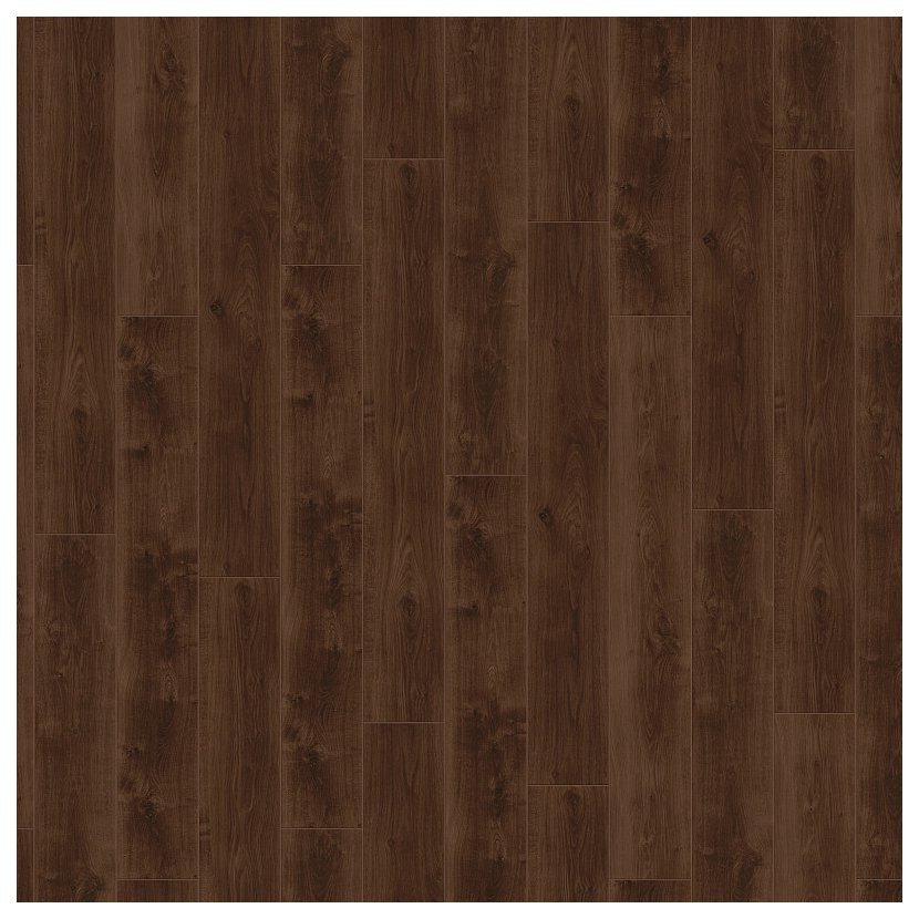 2504 Walnut