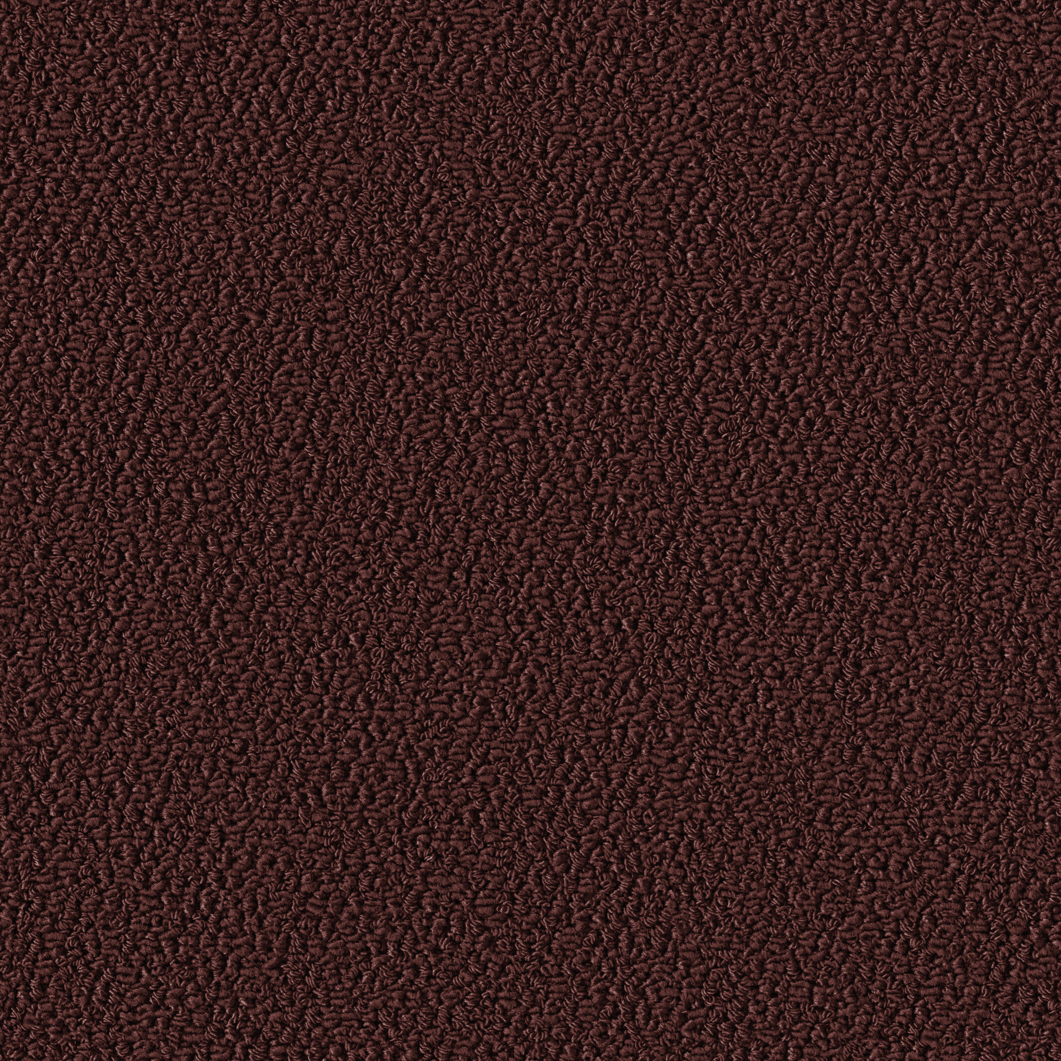 1006 Goji