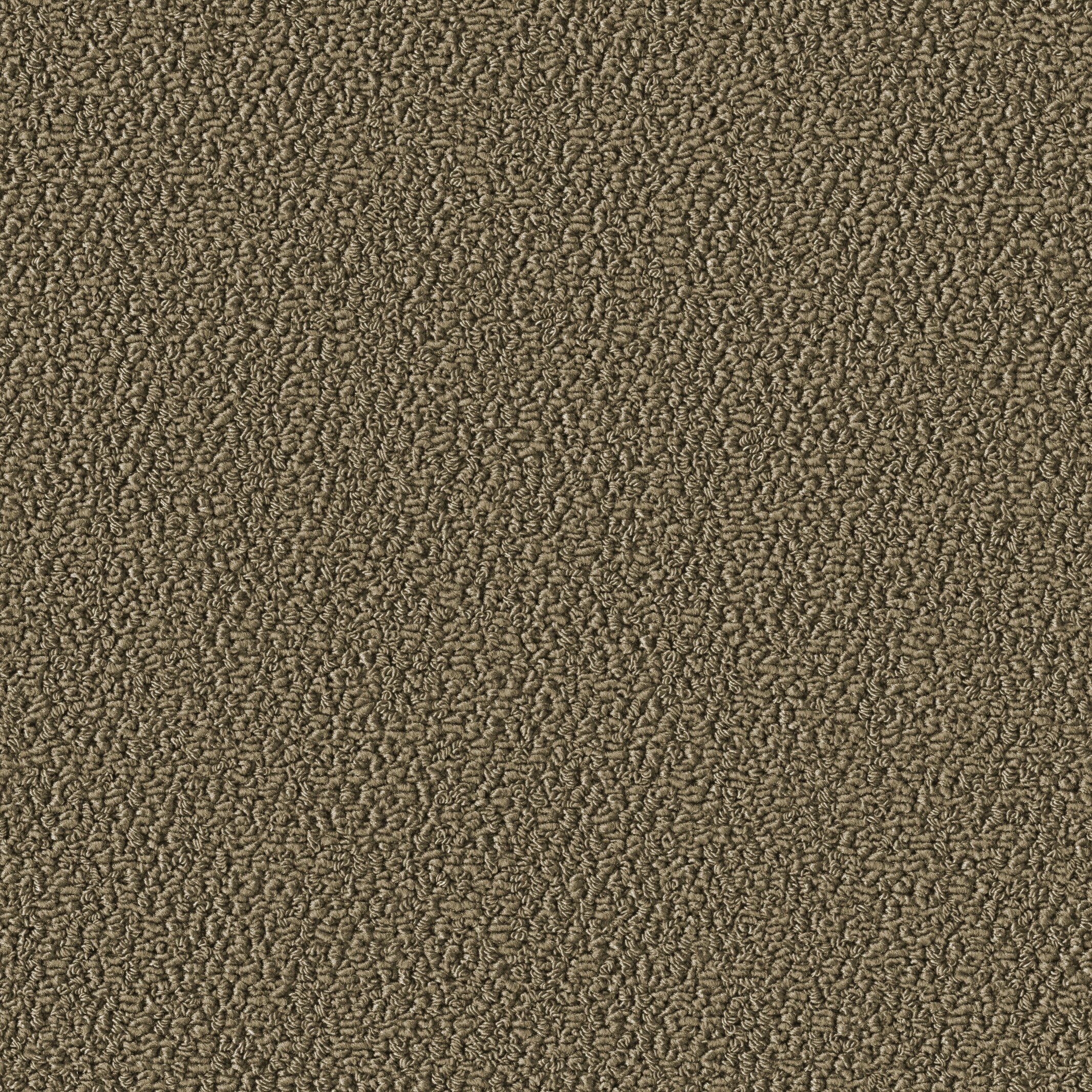 1002 Sandy