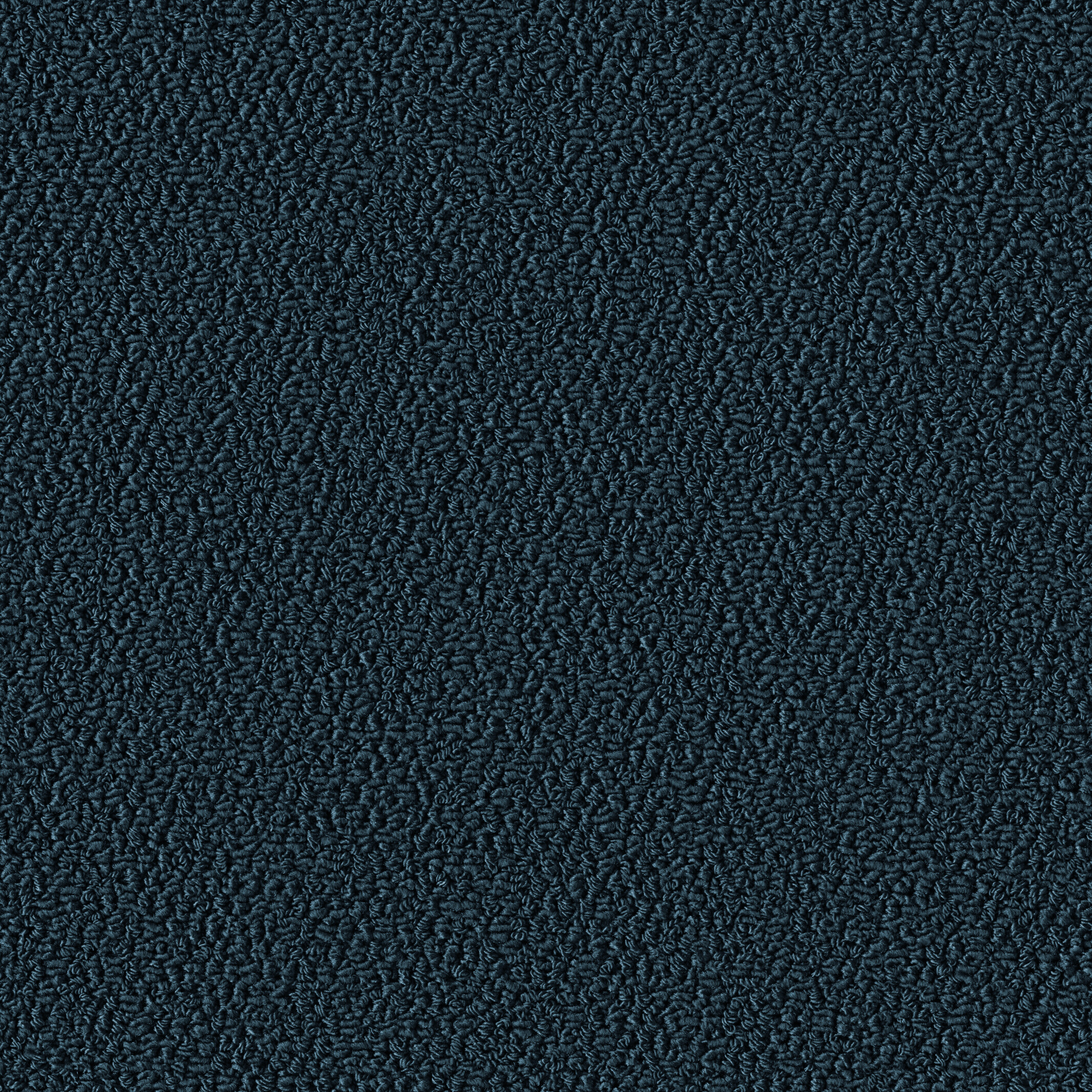1011 Blueberry