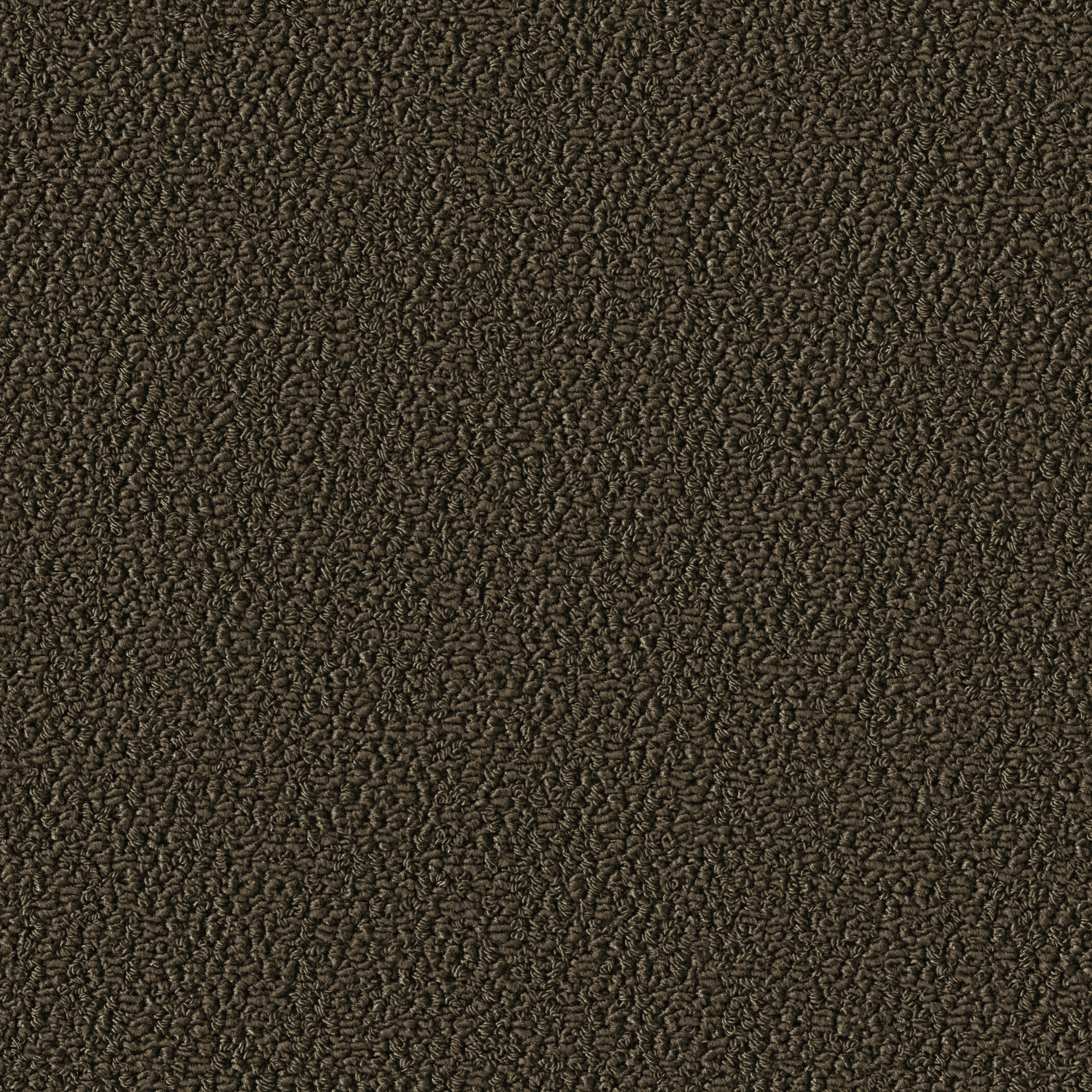1008 Mocca