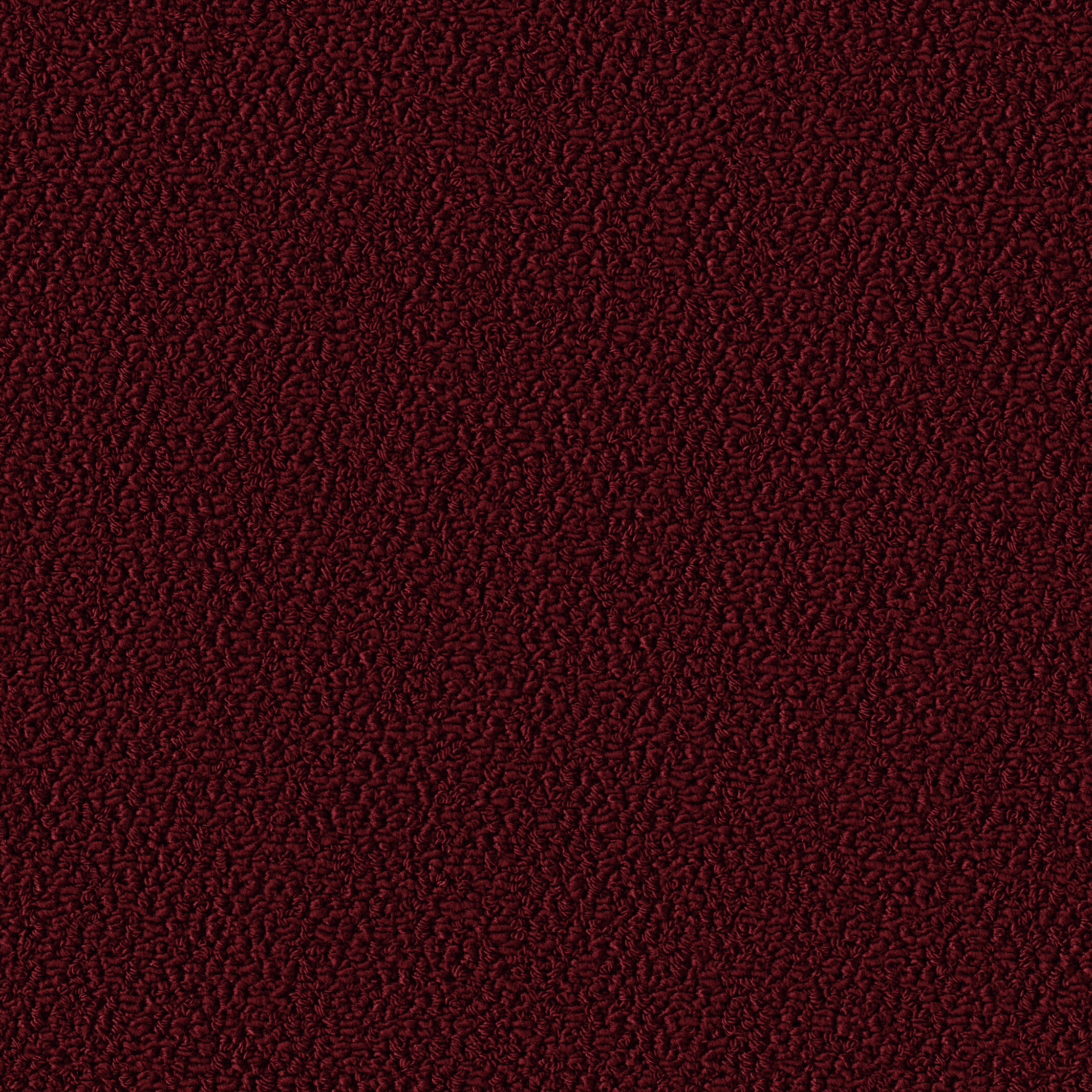 1007 Rubin