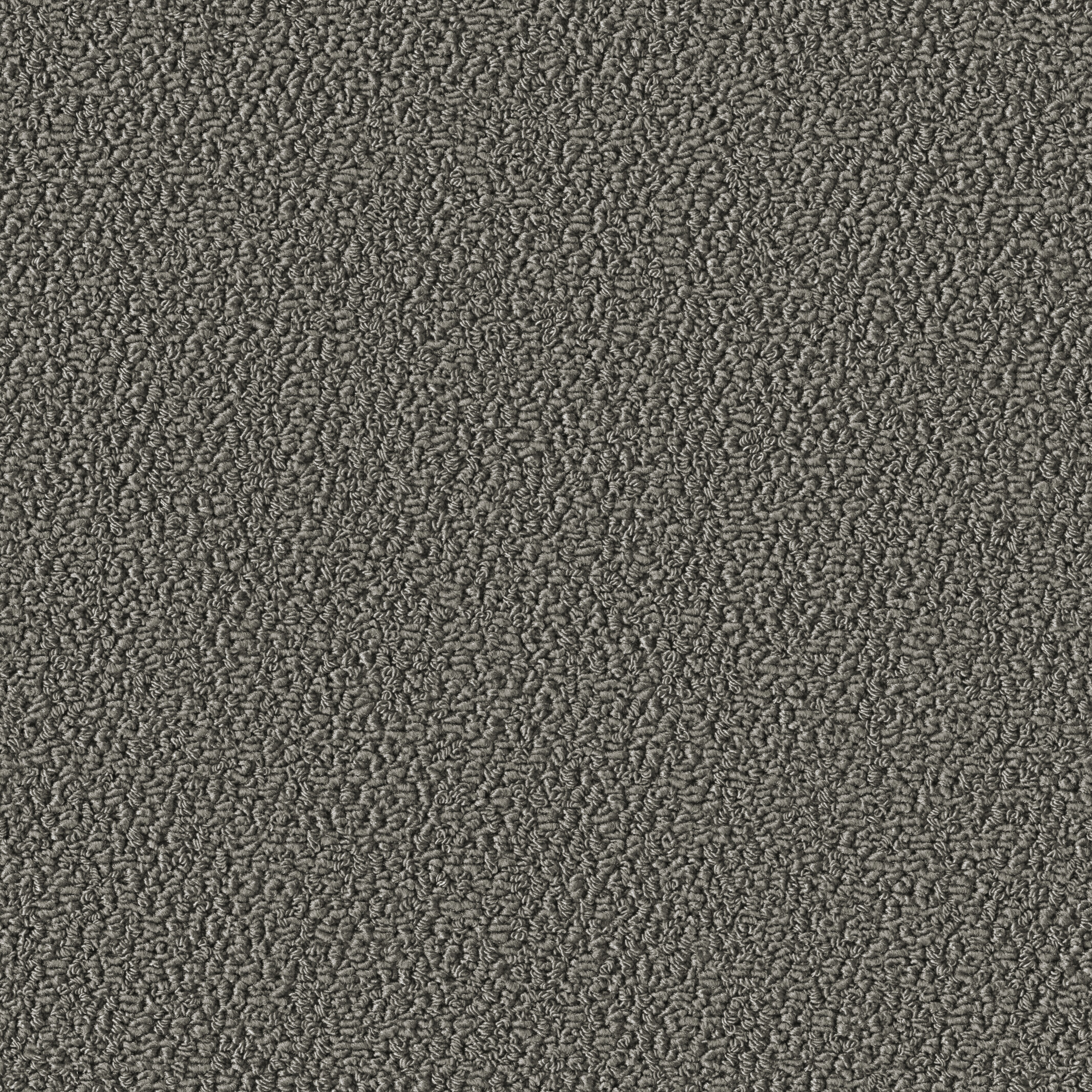 1013 Silver