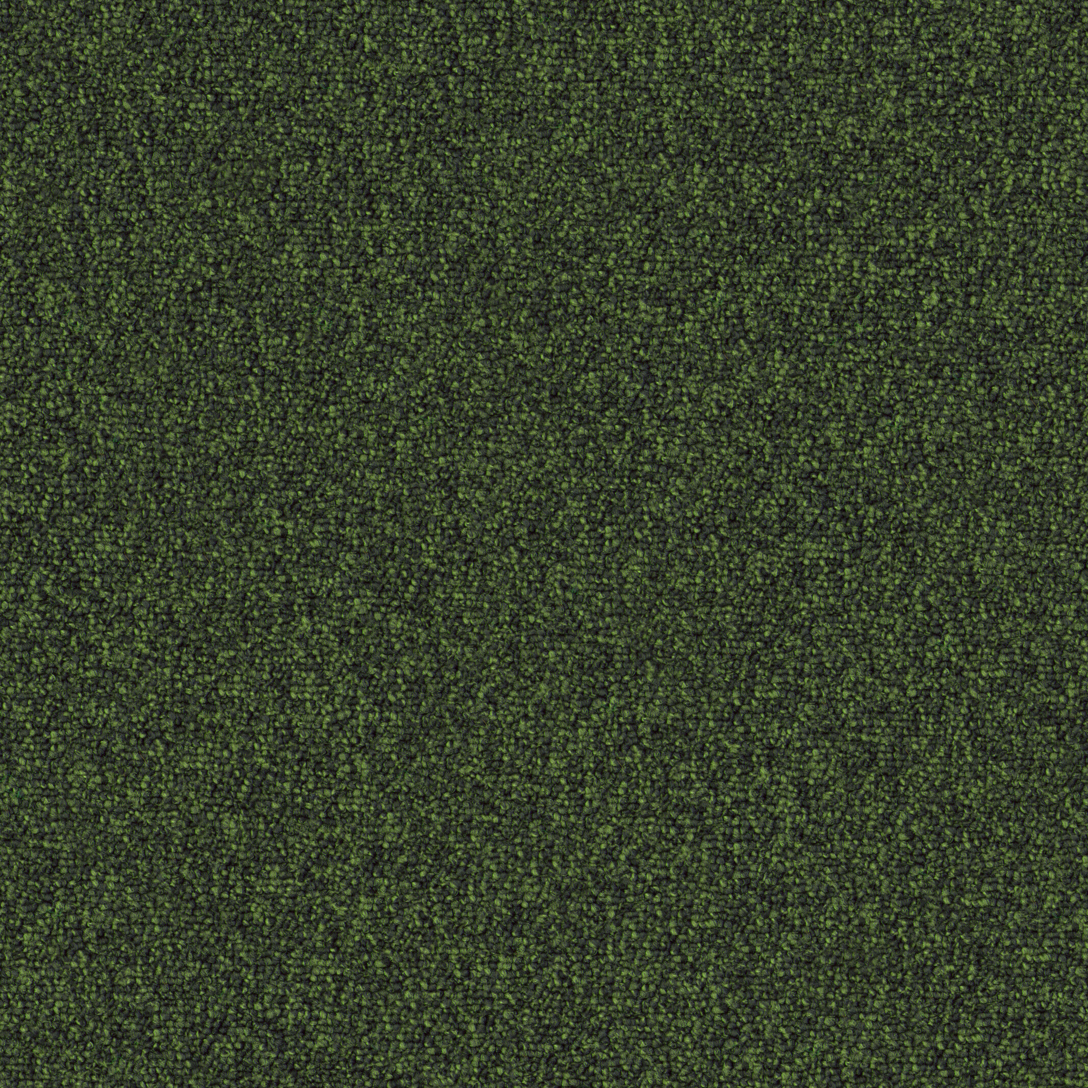0613 Kiwi