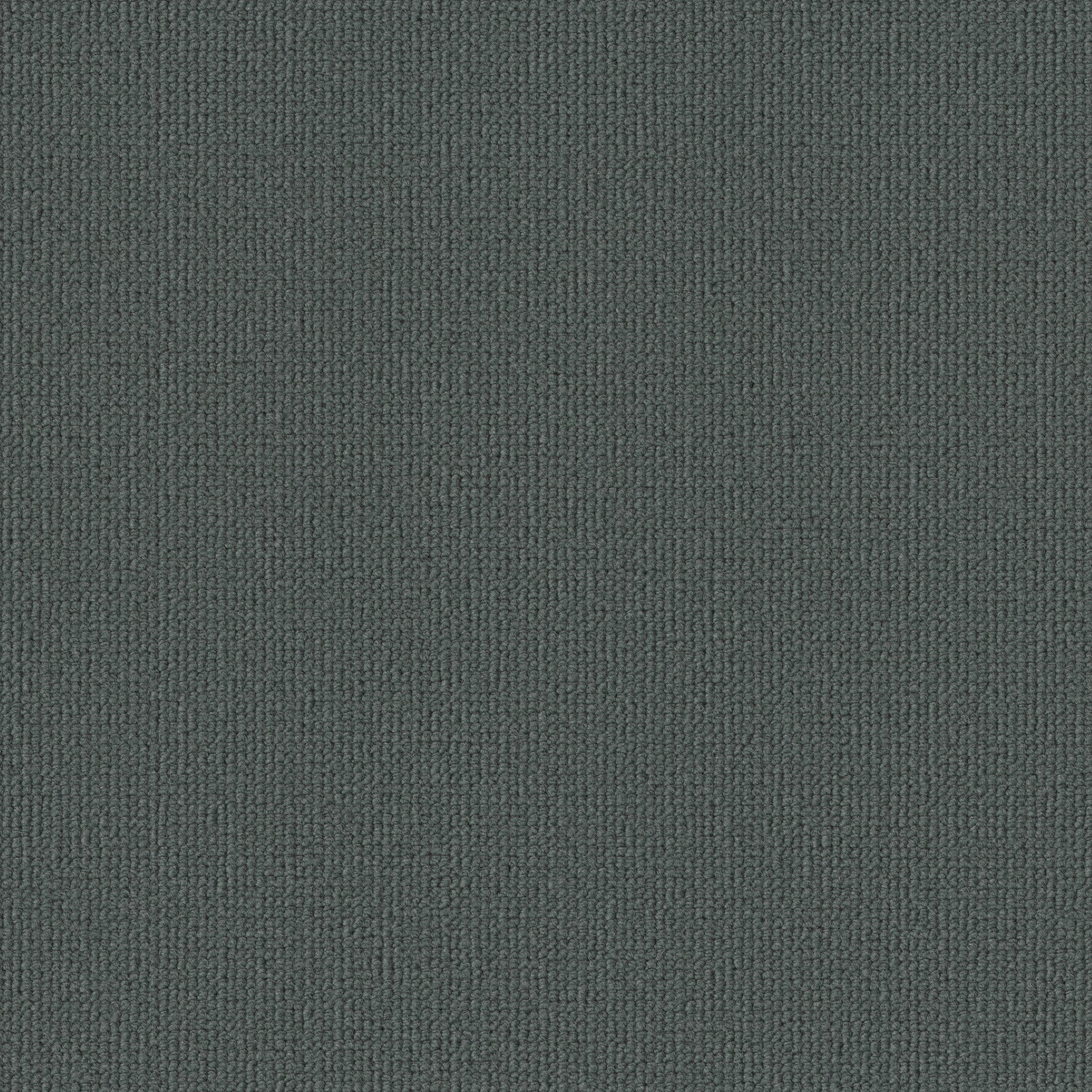 0923 Elephant