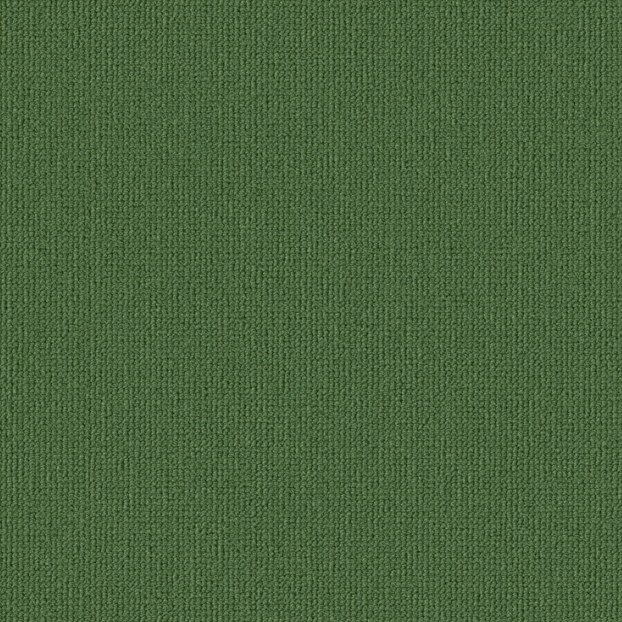 0919 Gras