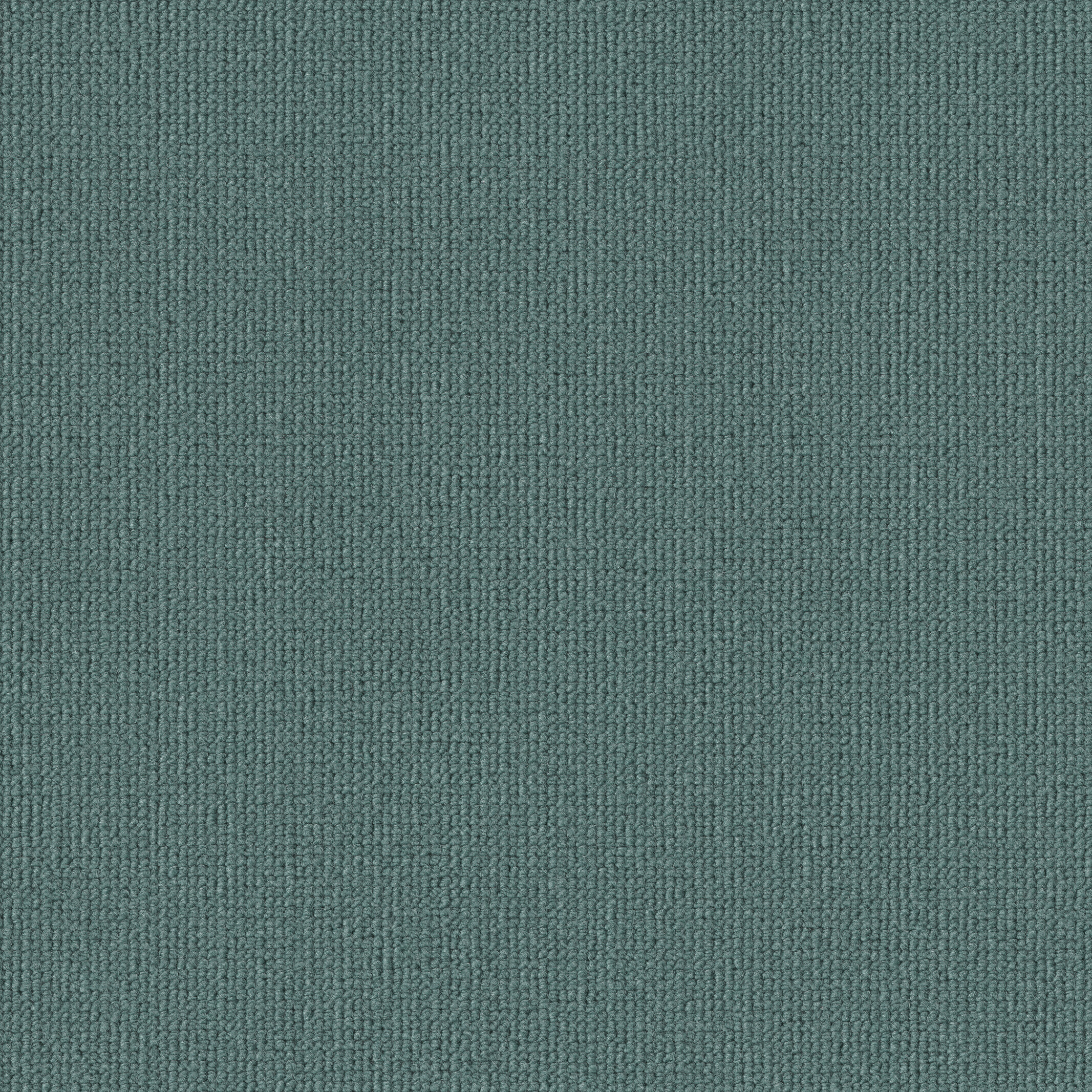 0910 Plankton