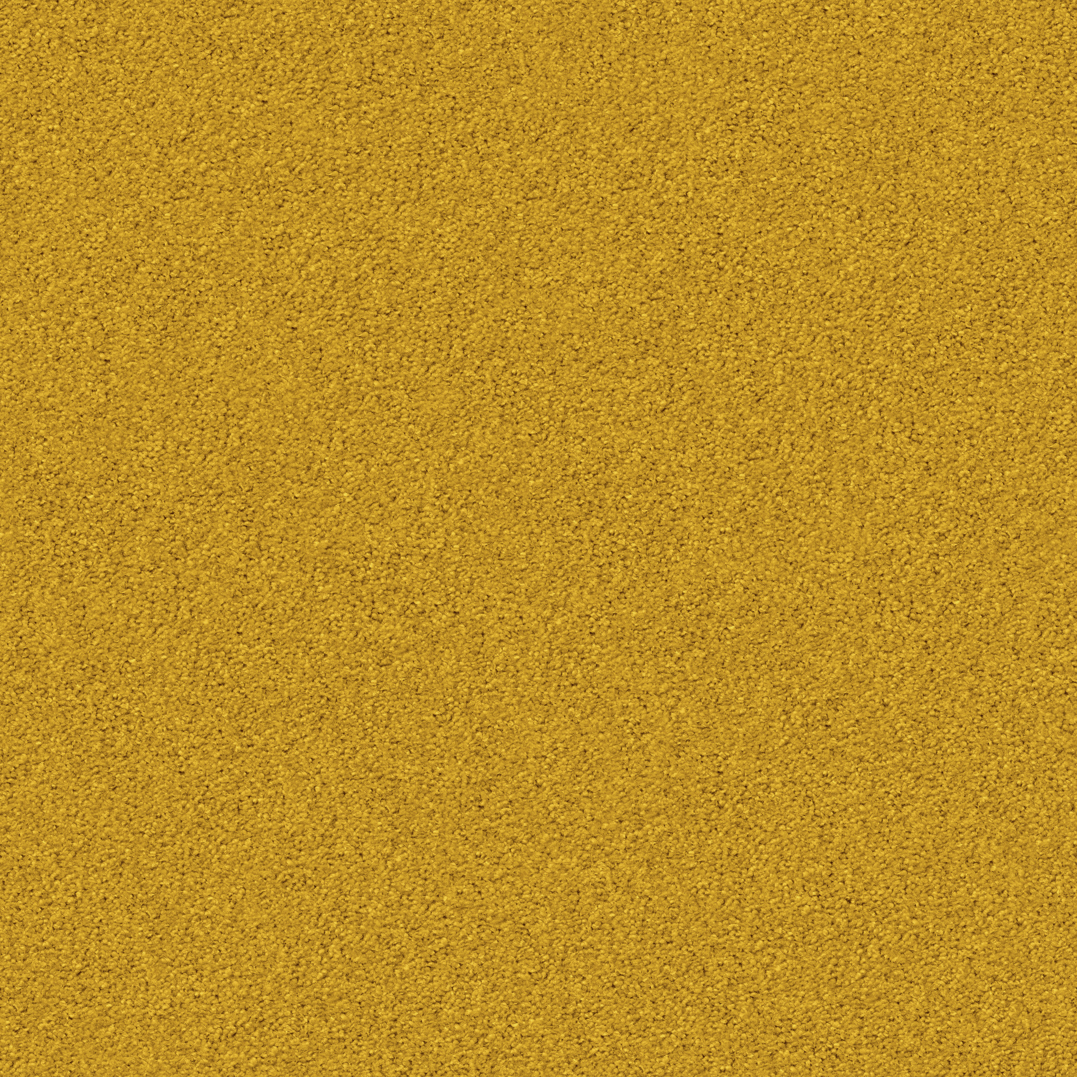 1211 Starlight