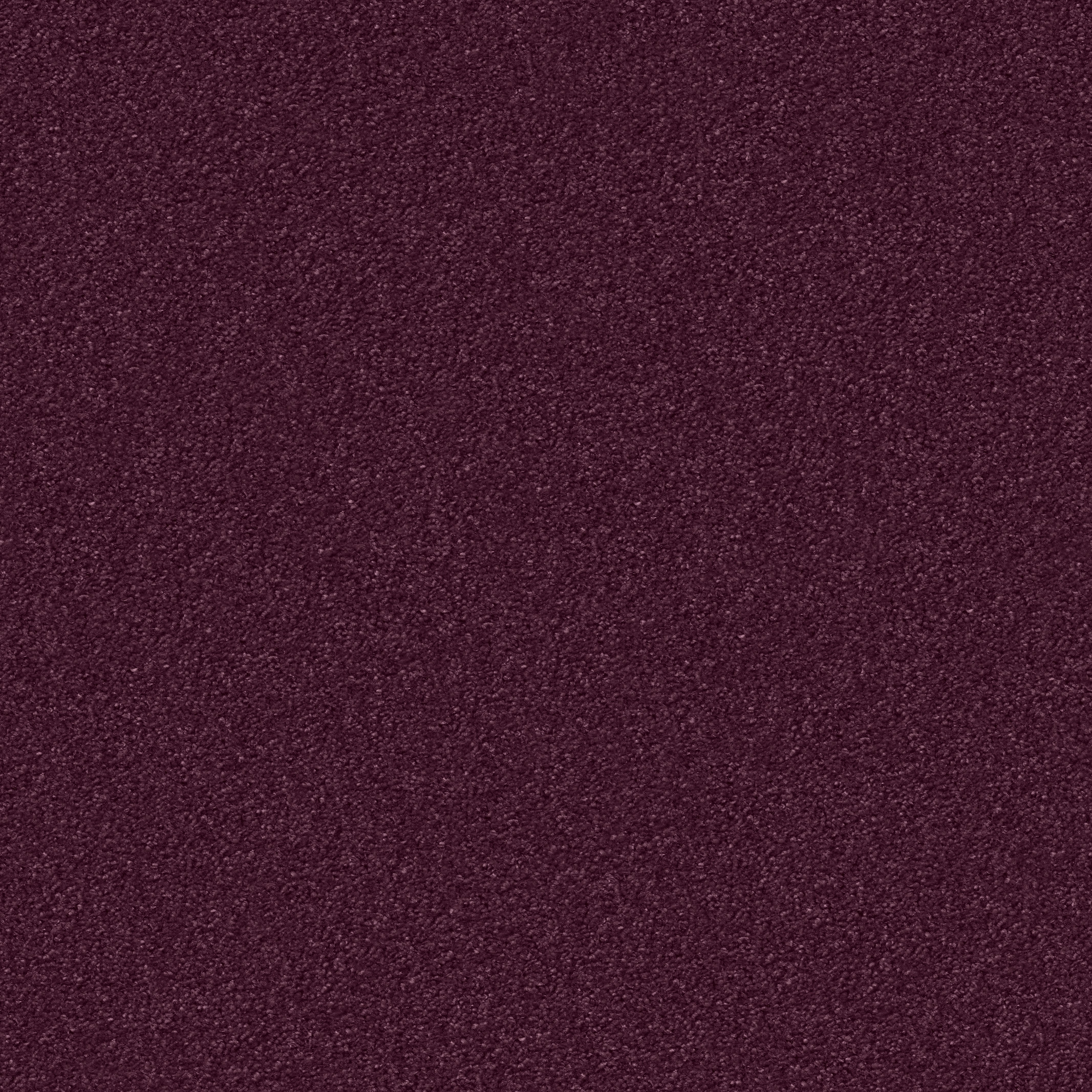 1207 Brombeer