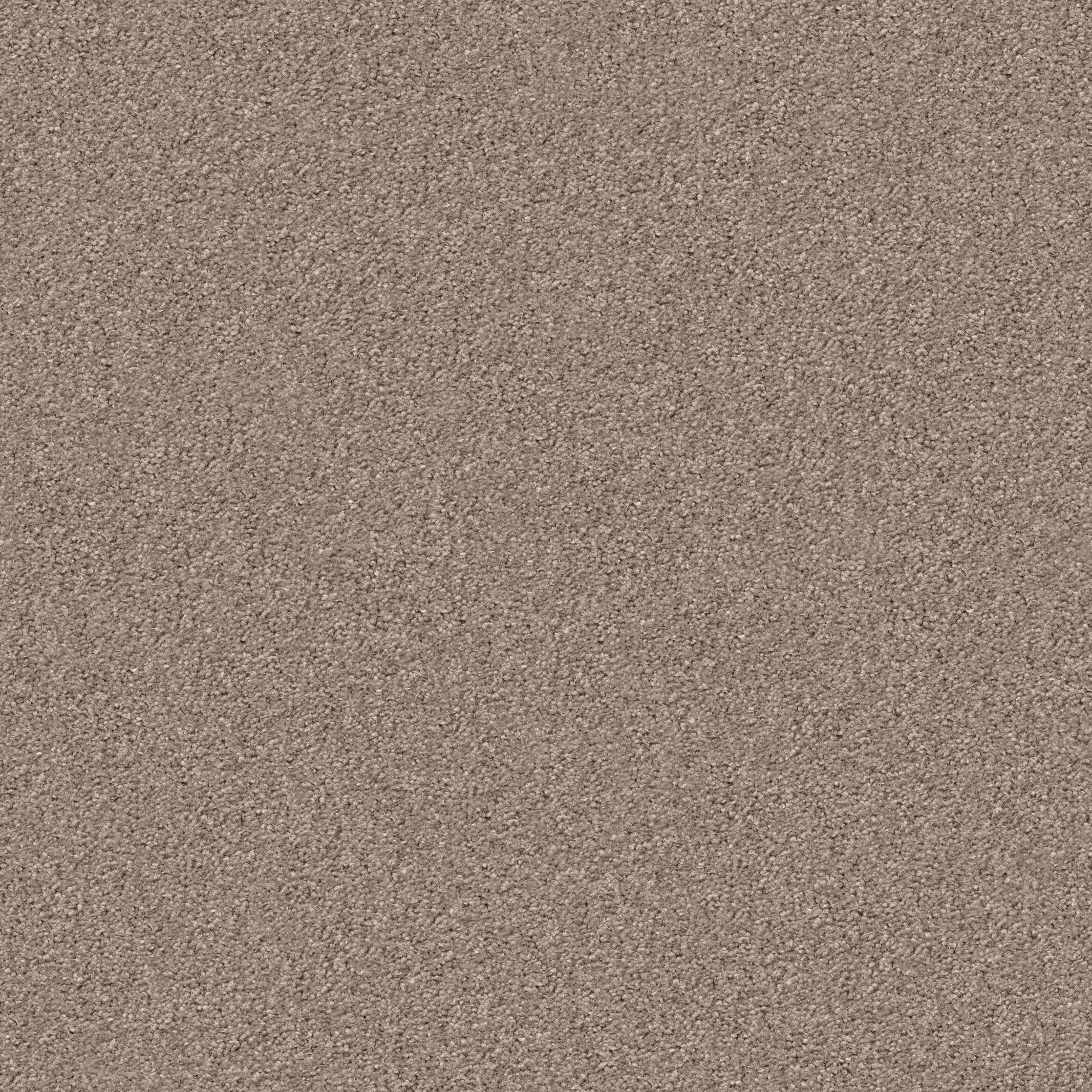 1229 Dust