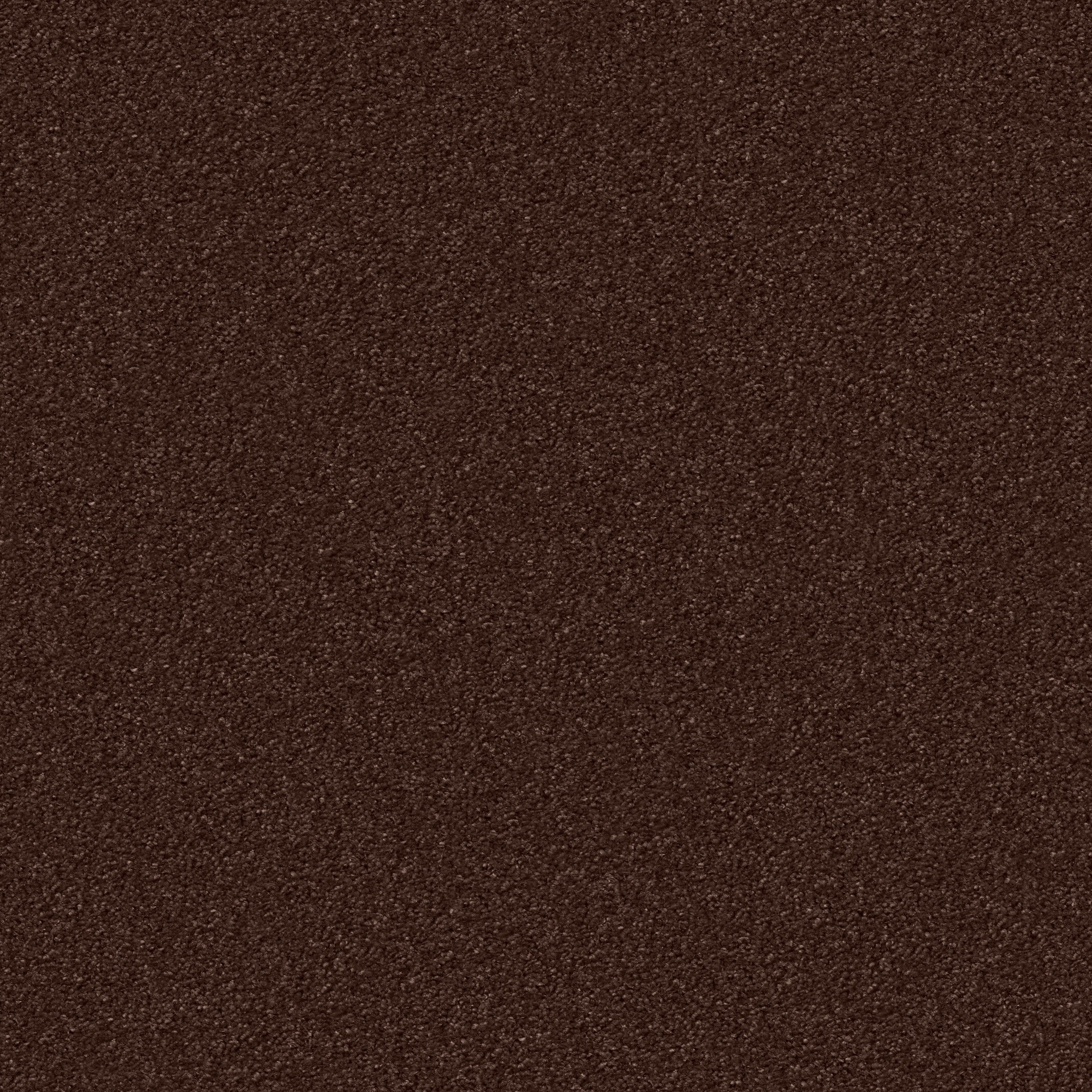 1216 Brownie