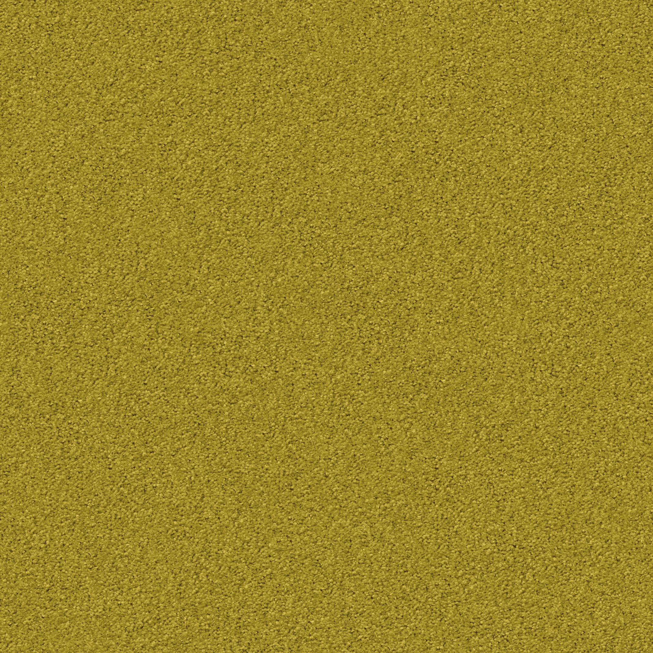 1237 Lemongrass