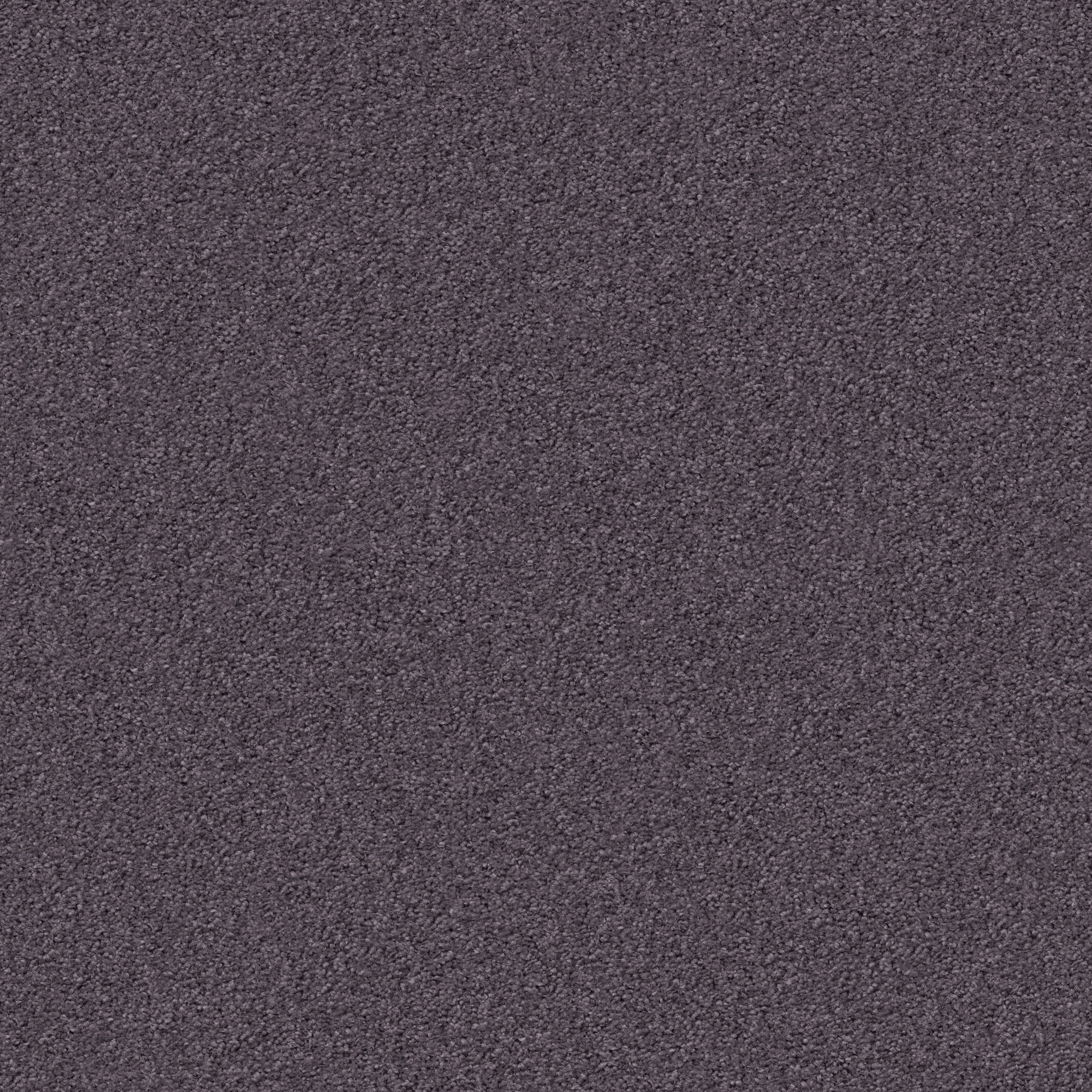 1235 Dusty Silver