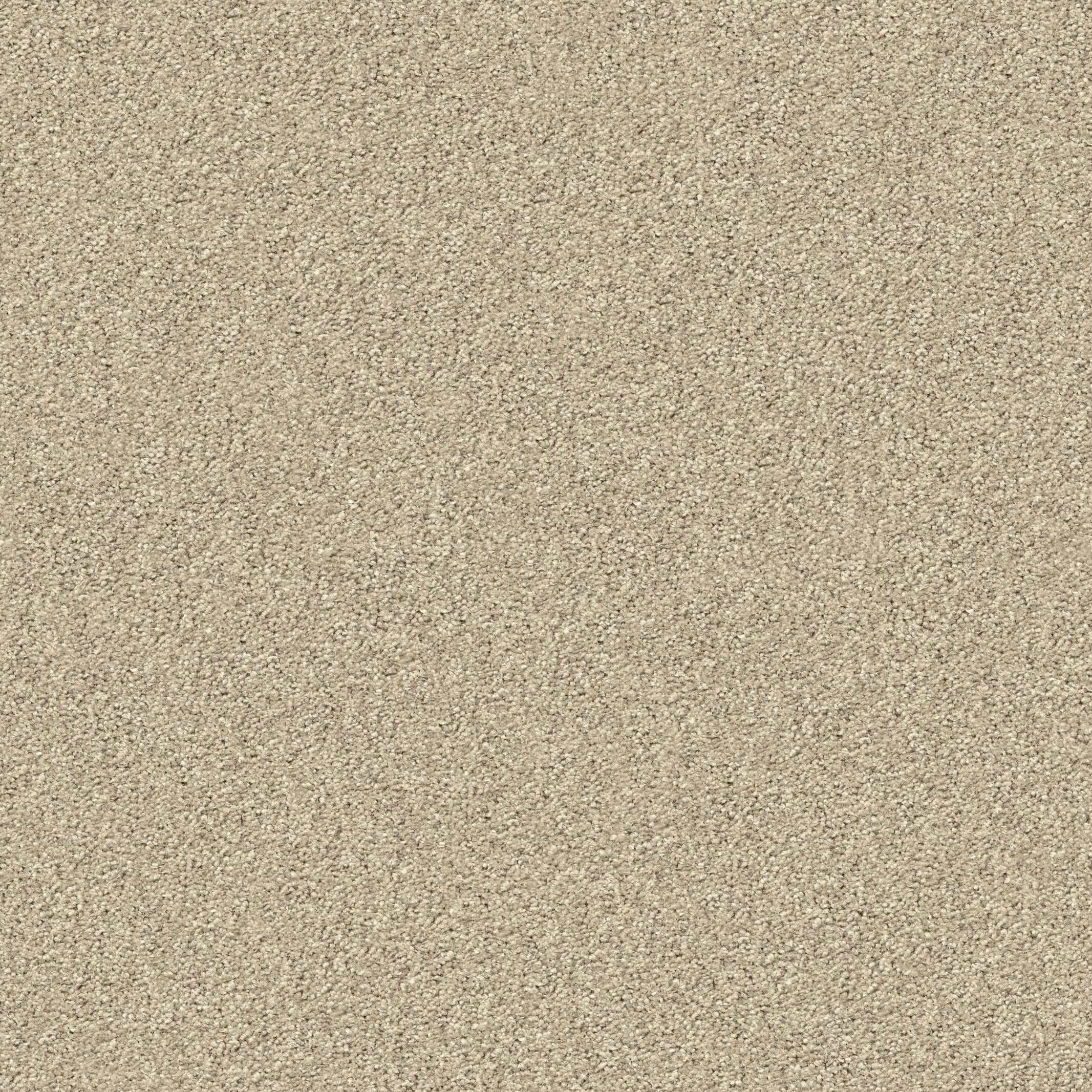1201 Marzipan