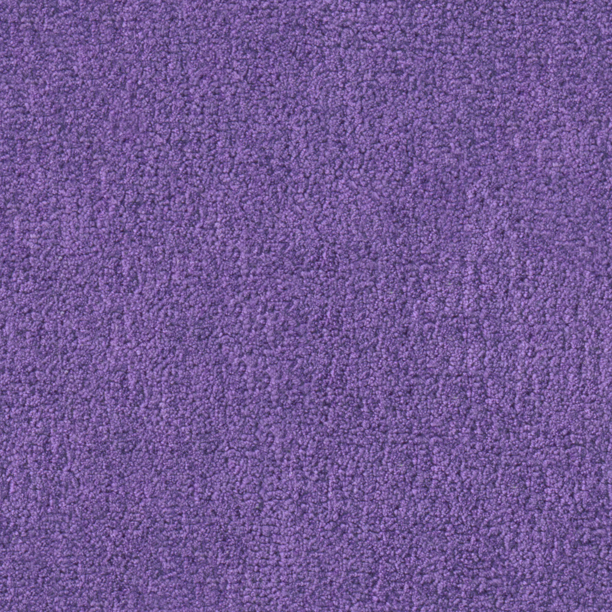 2501 Amethyst