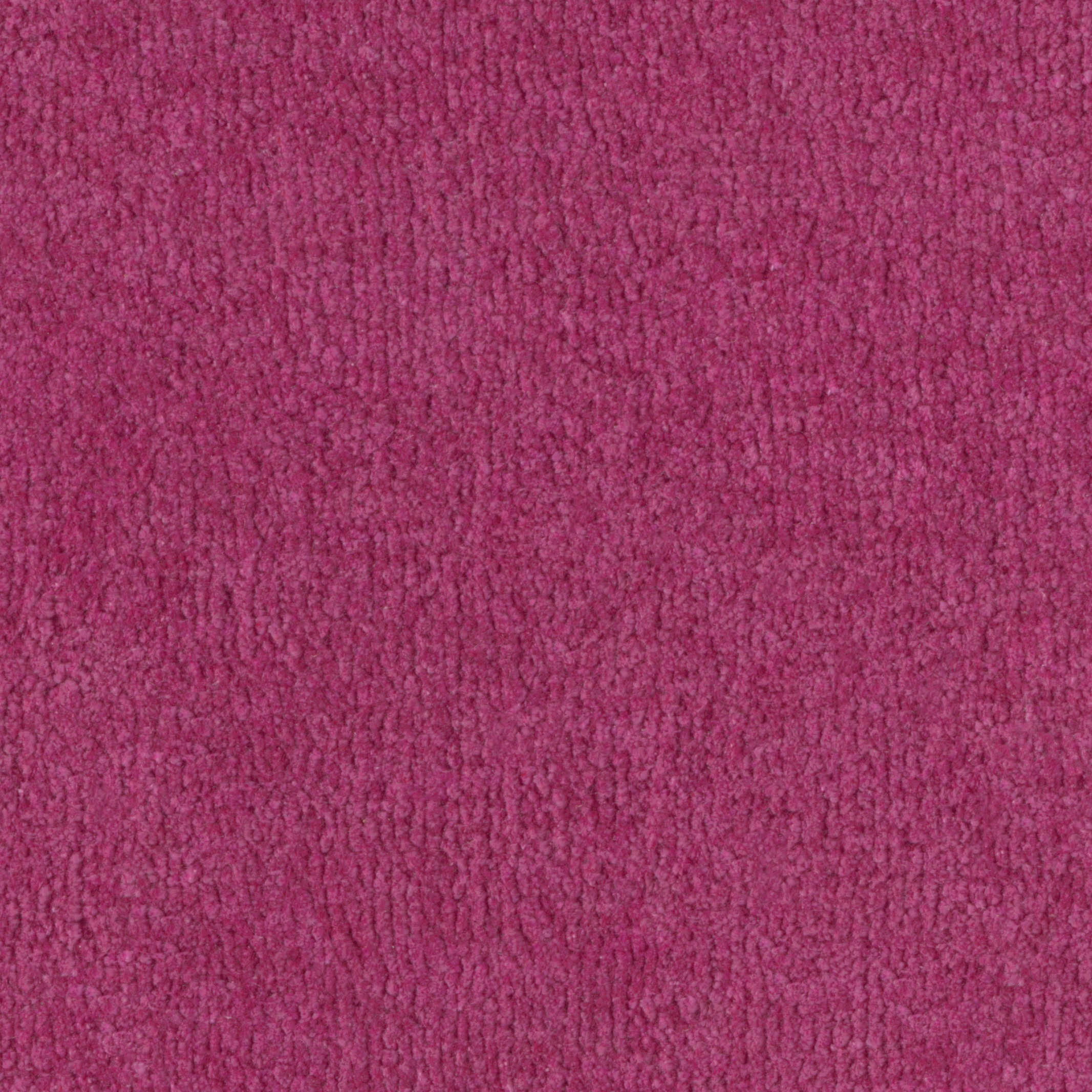 2503 Fuchsia