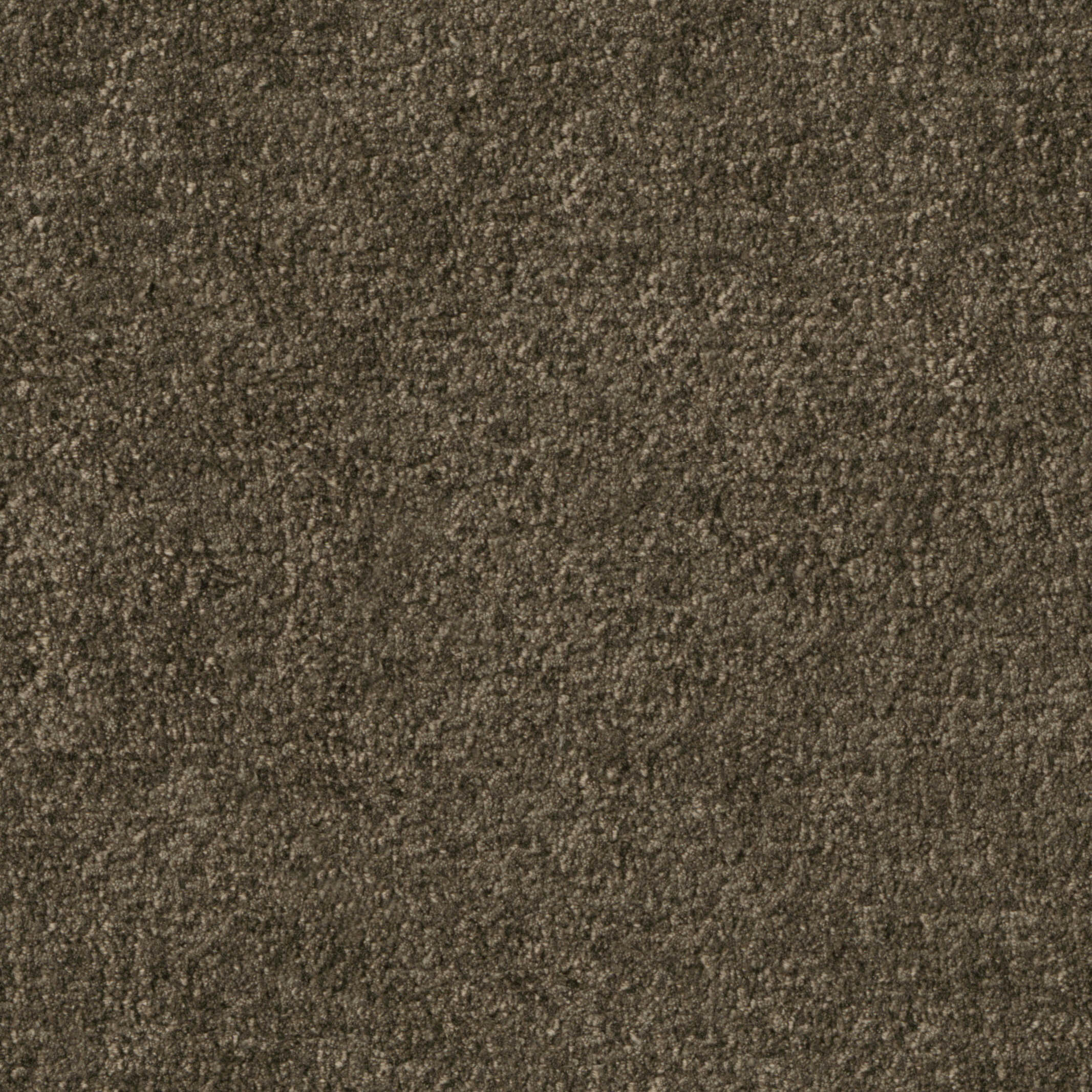 2516 Maharaja