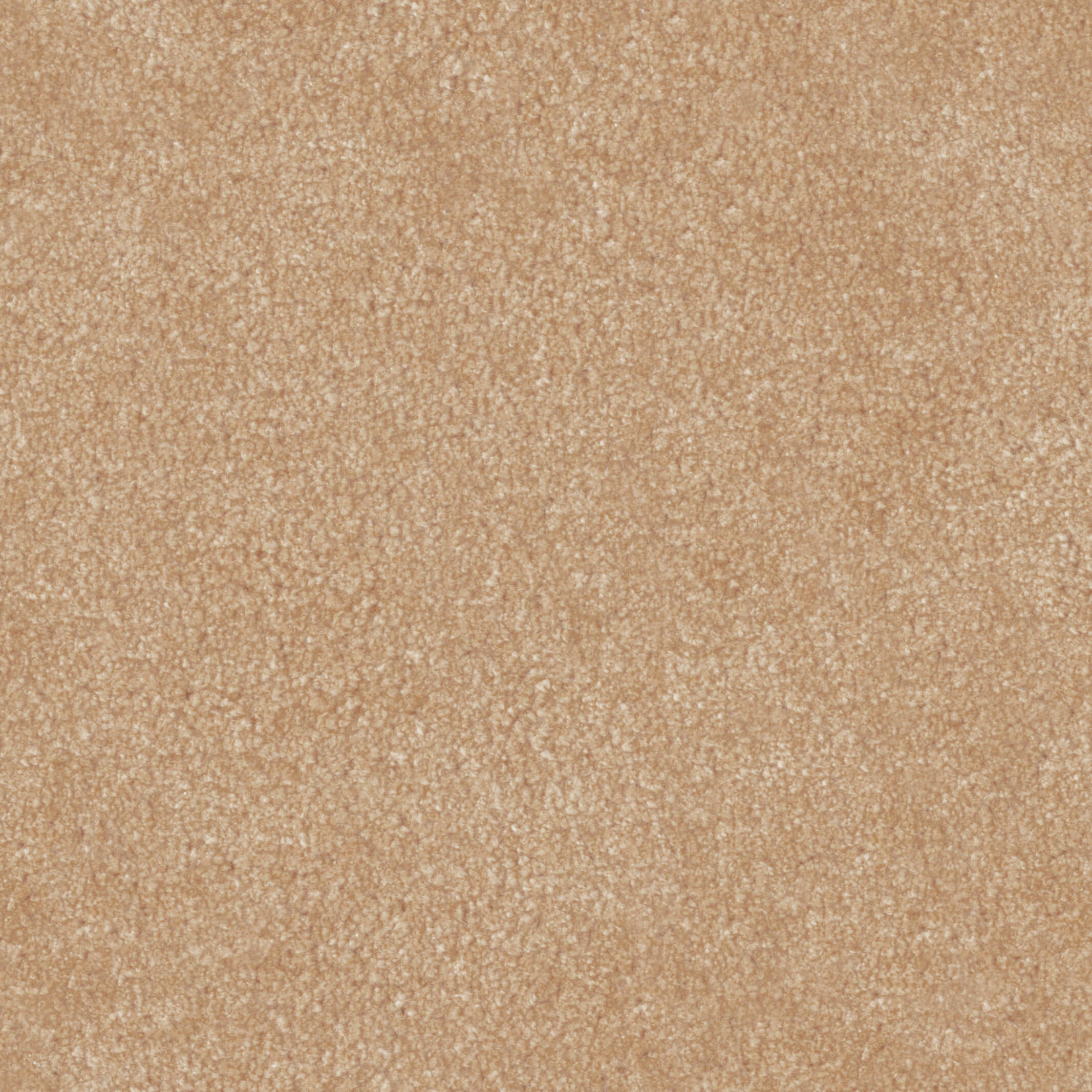 2517 Powder