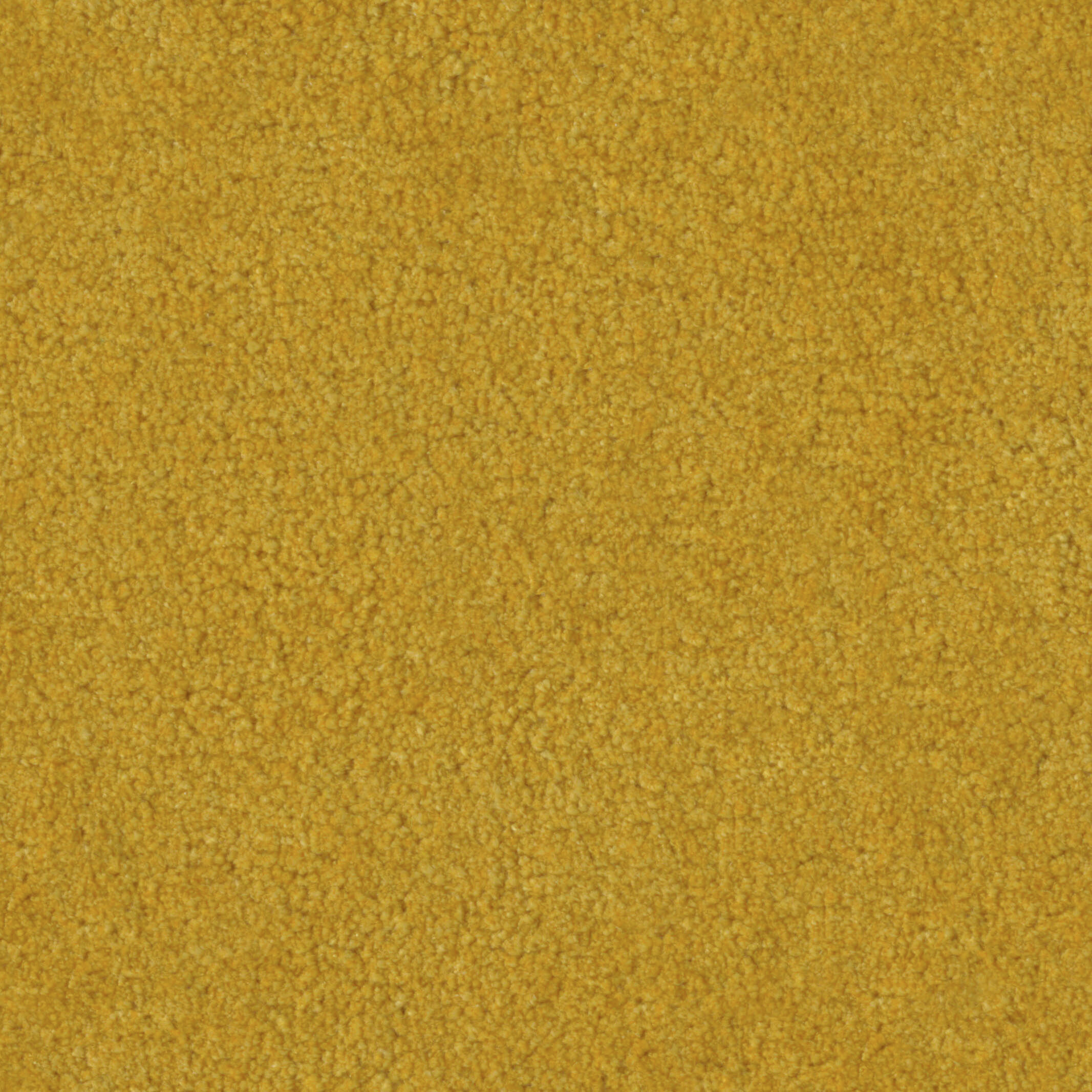 2509 Sahara