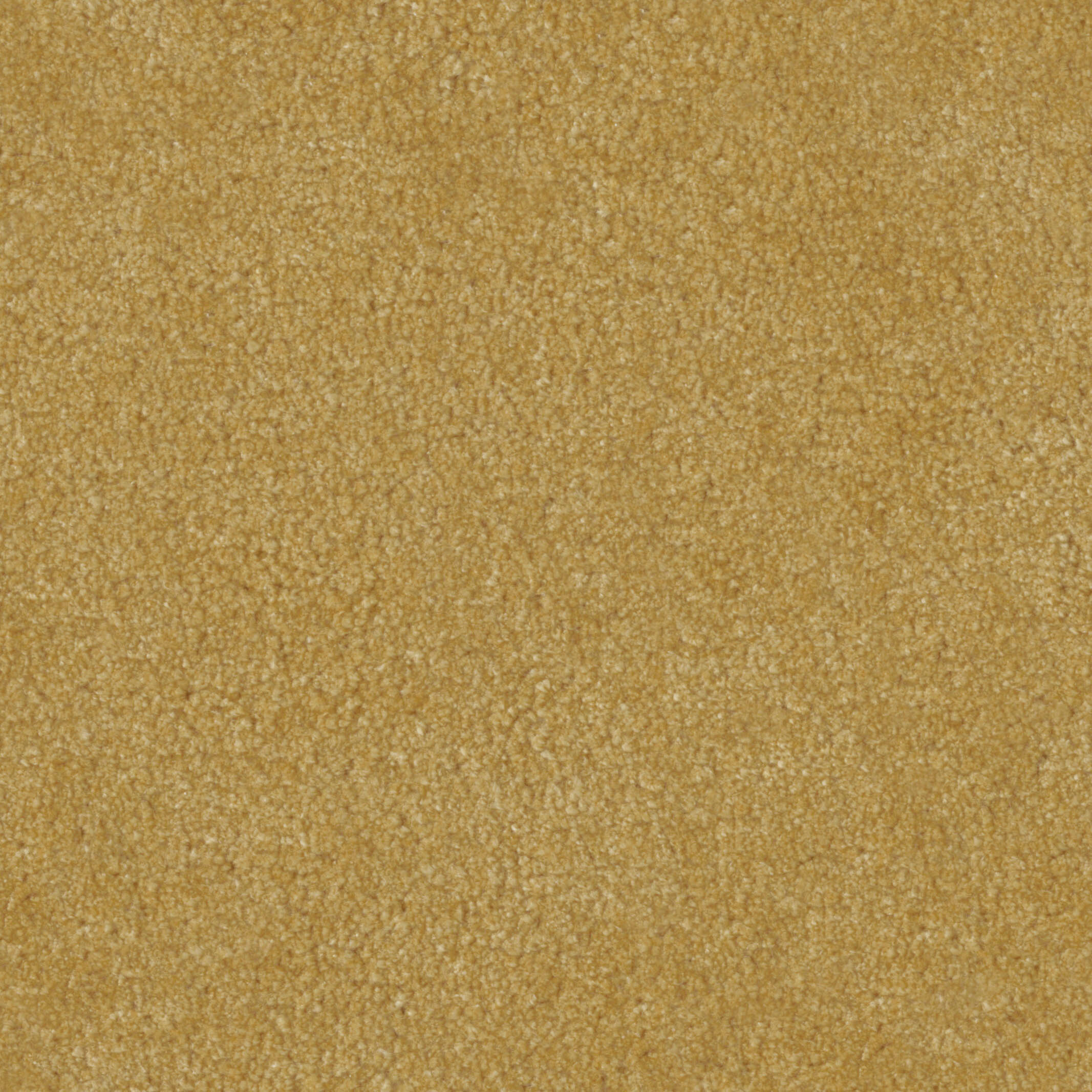 2513 Sand