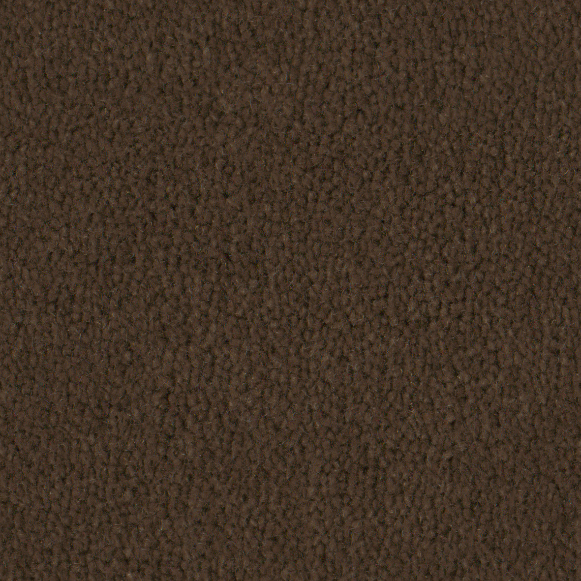 2606 Terra