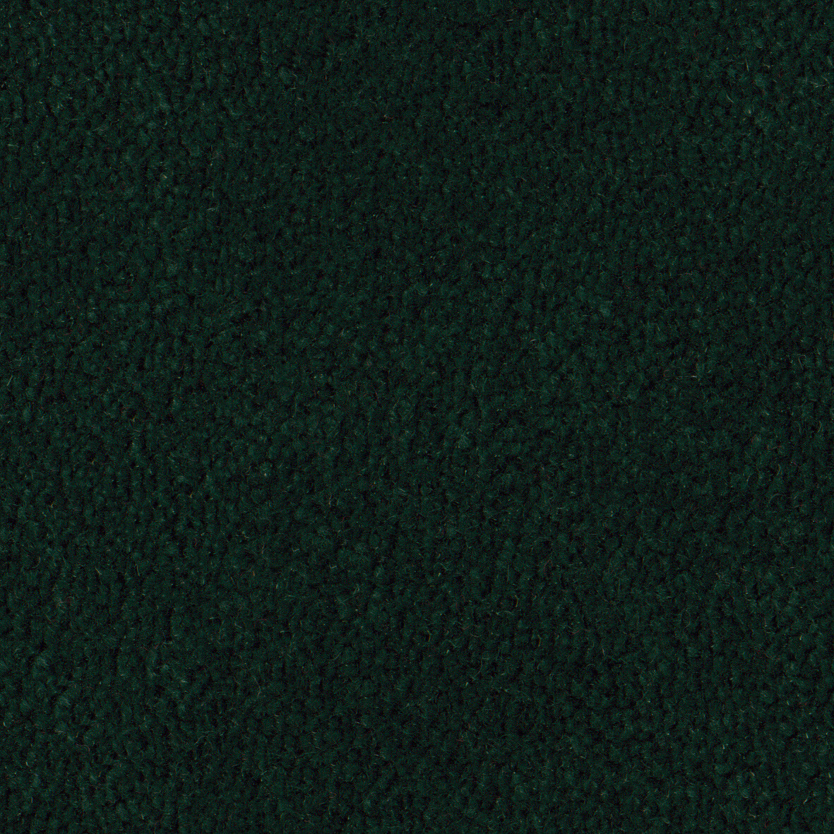 2610 Forest