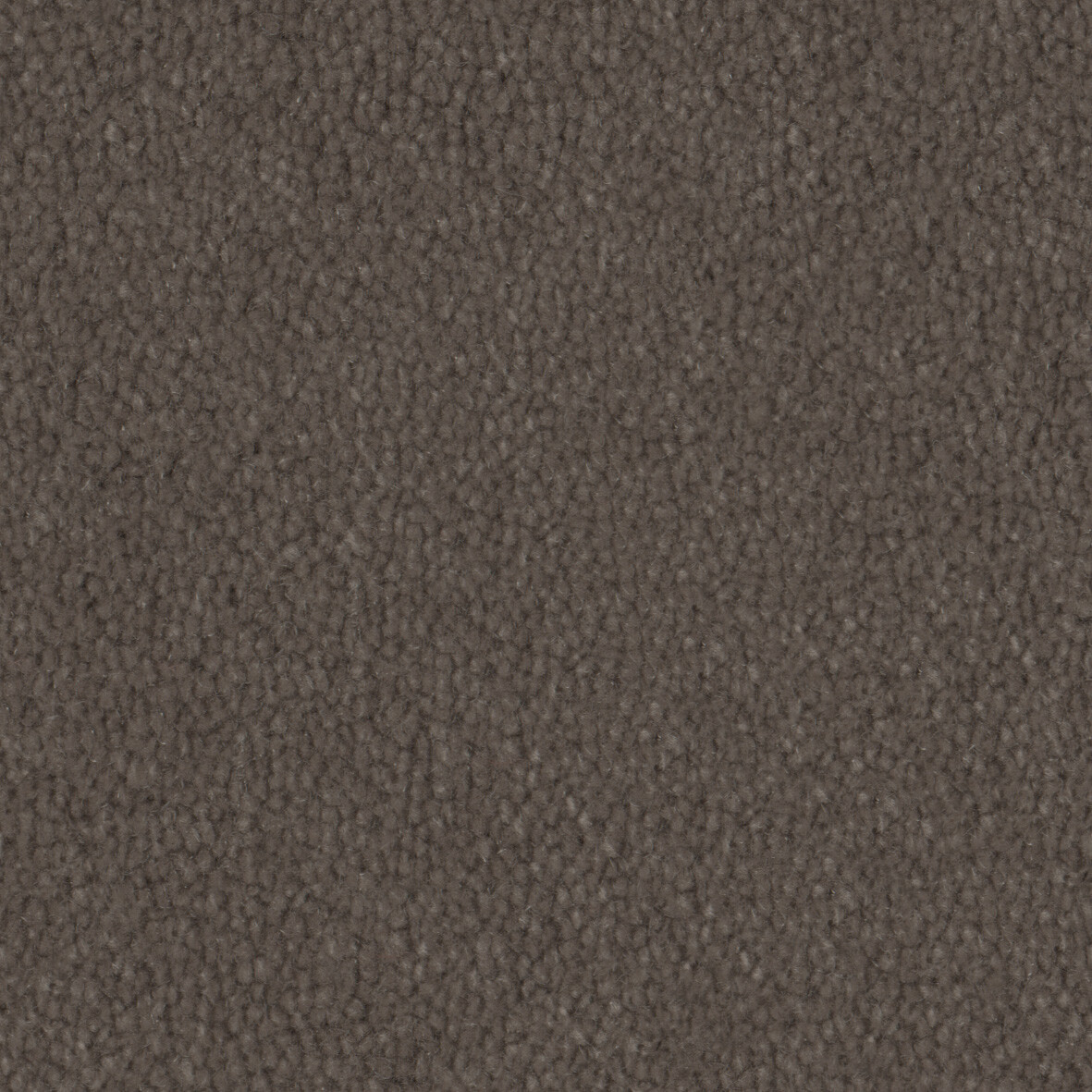 2608 Rabbit