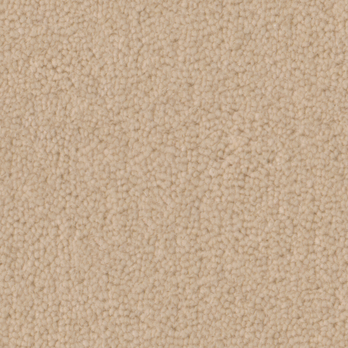2603 Windflower