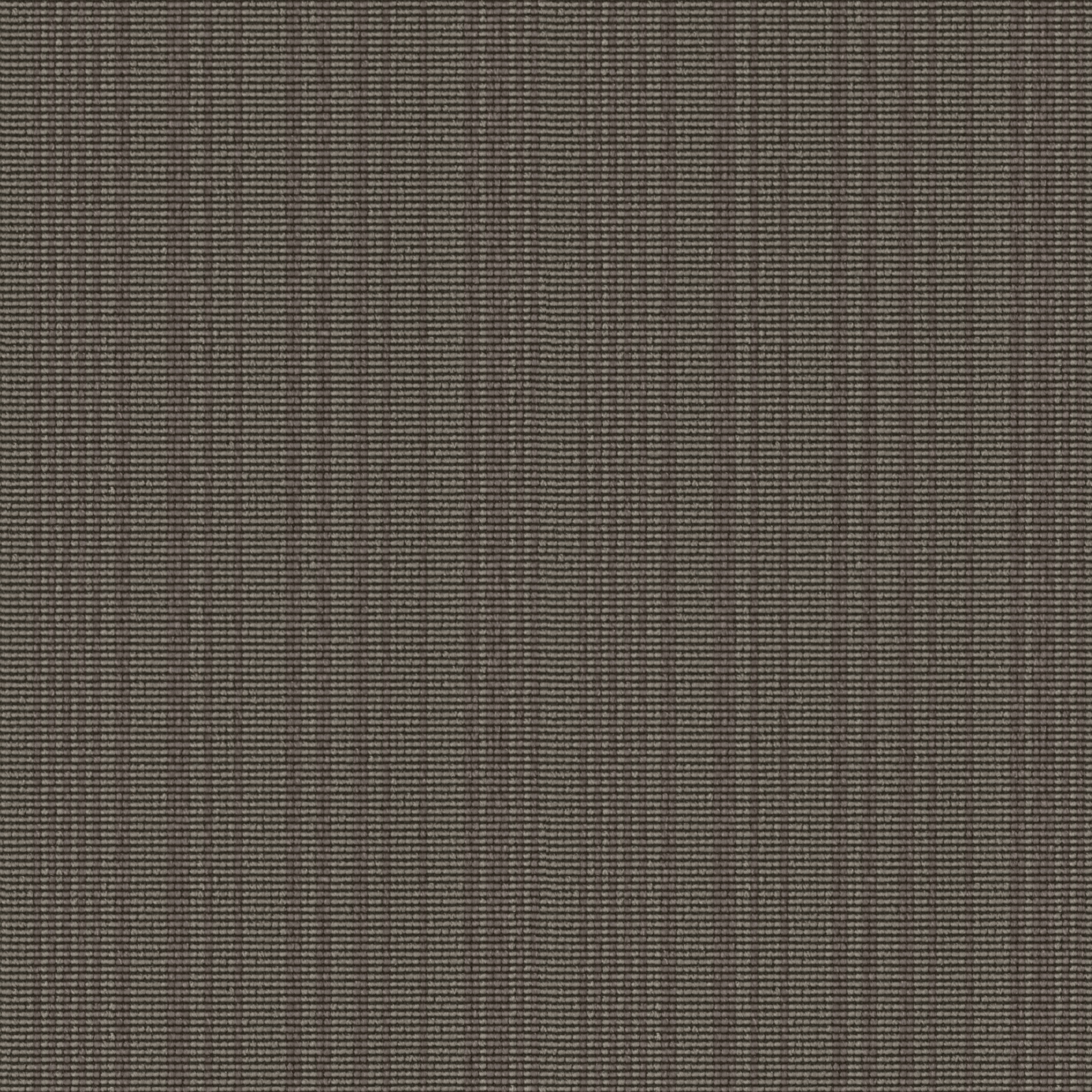 0447 Mud