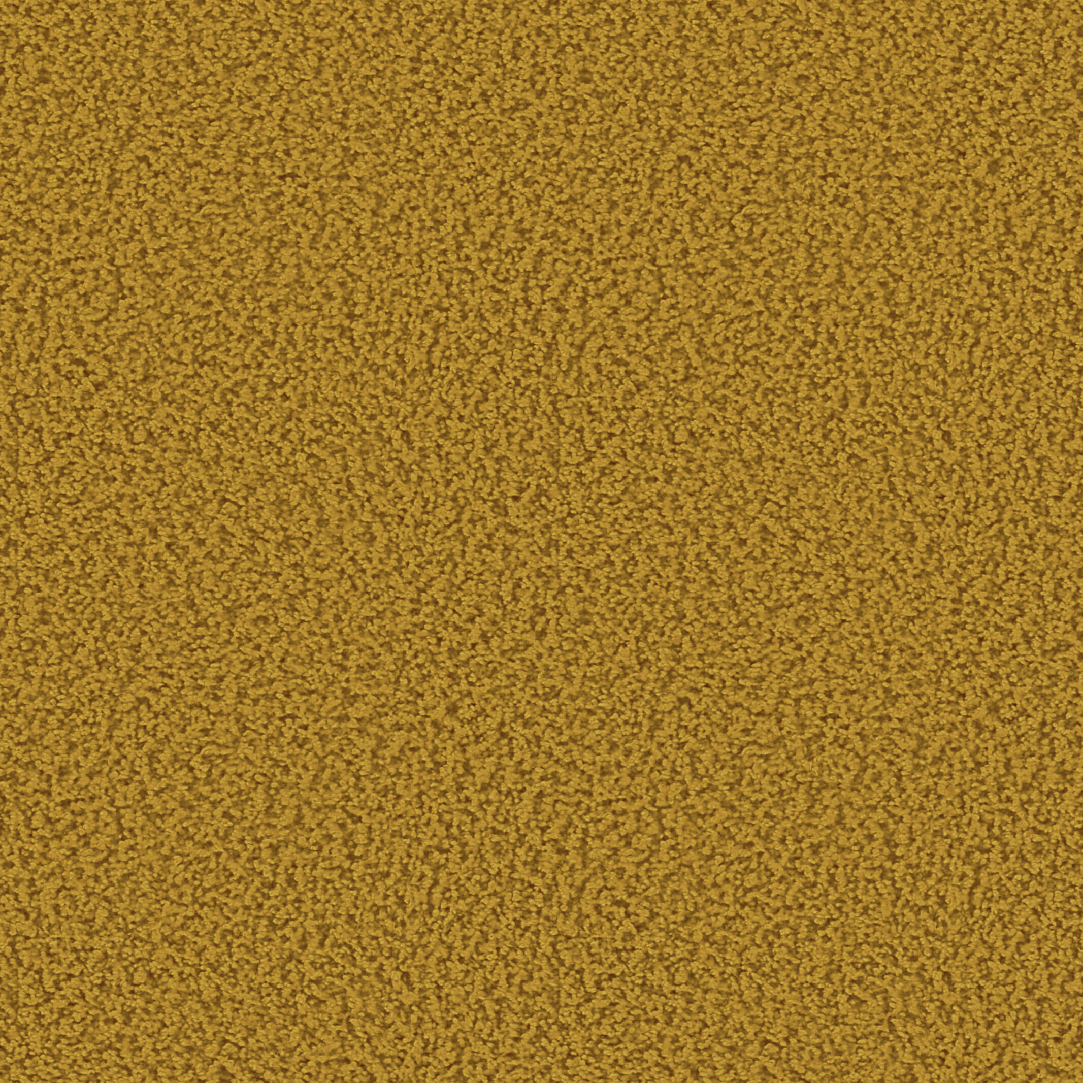 1610 Curry