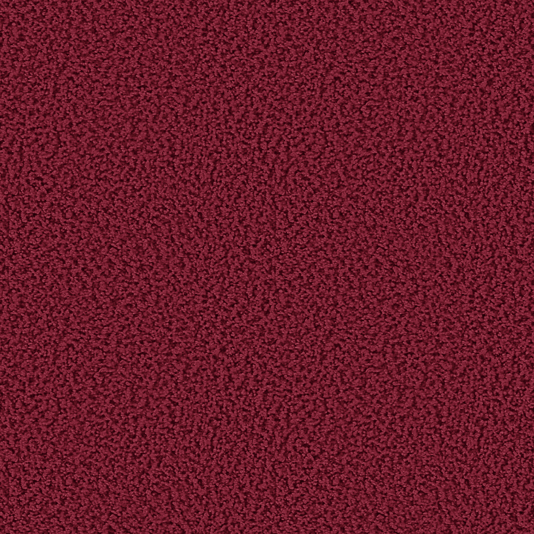 1607 Hibiscus