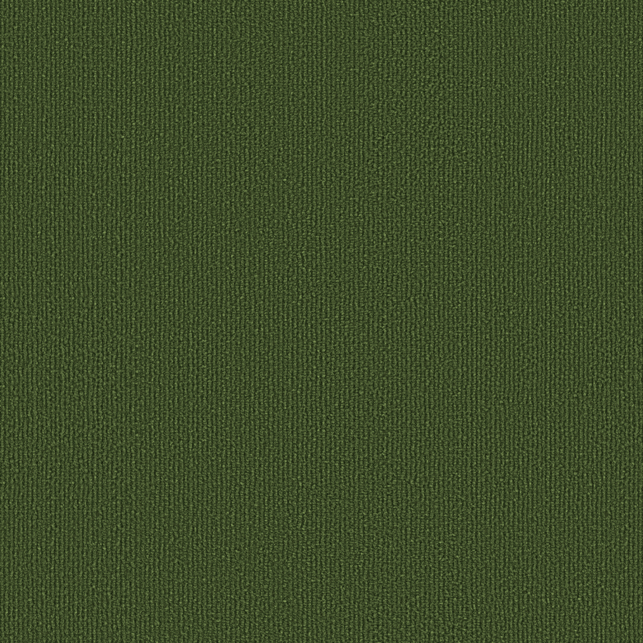 0909 Grasshopper