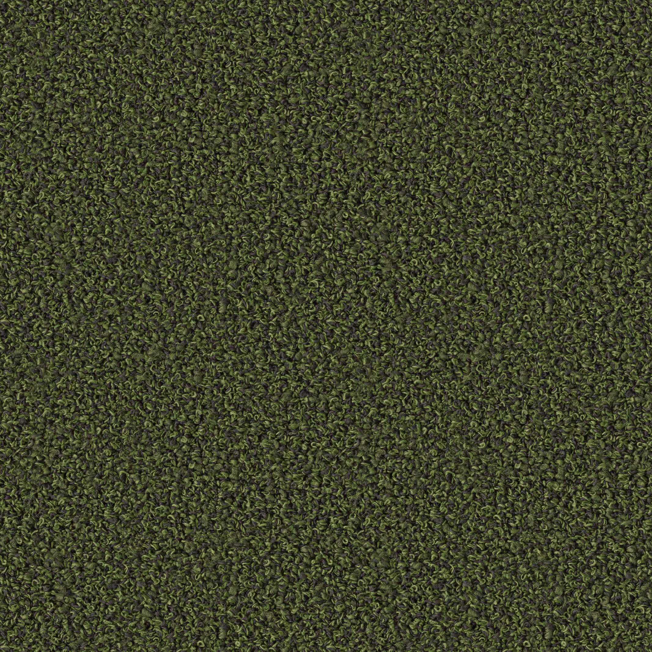 0806 Bonsai