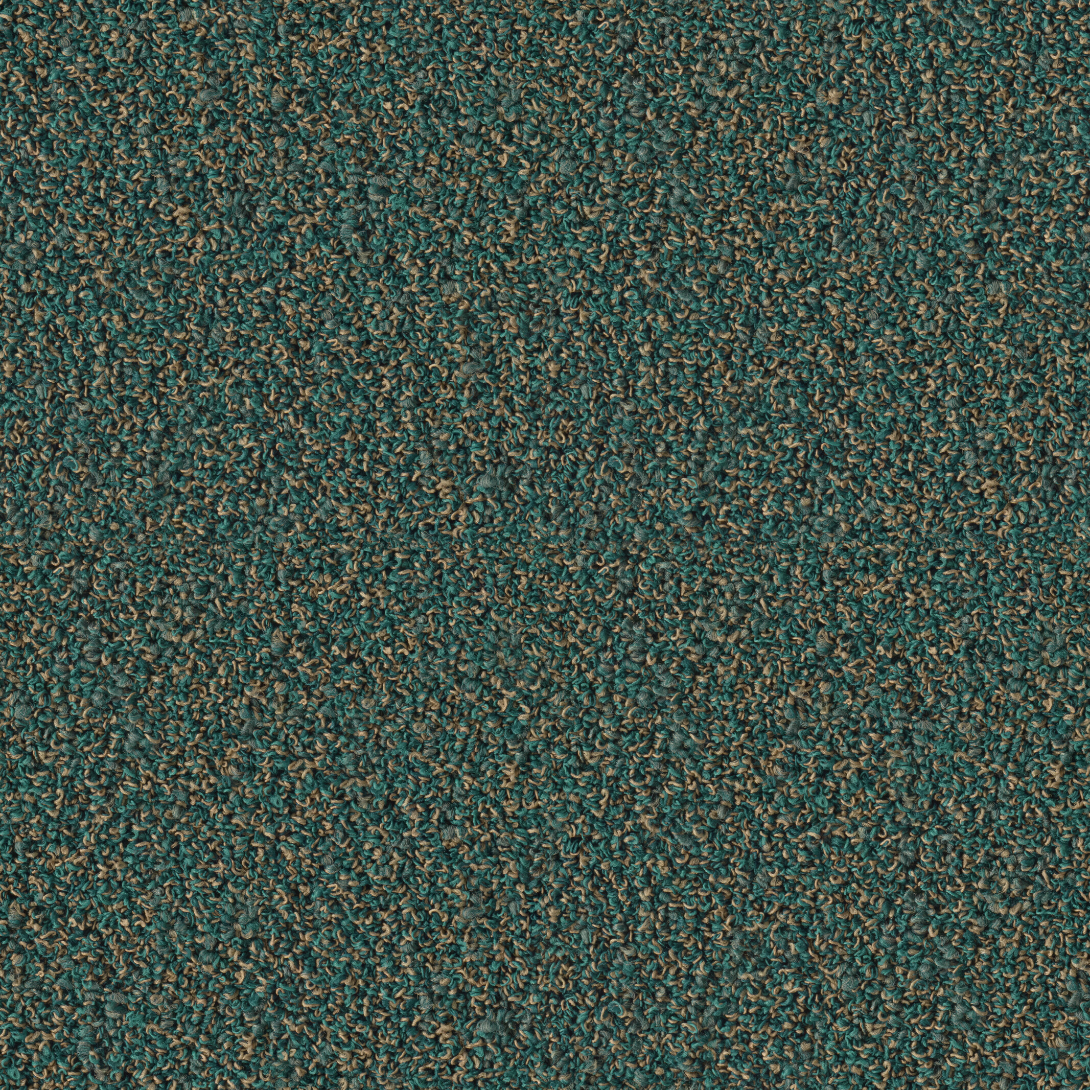 0807 Lizzard