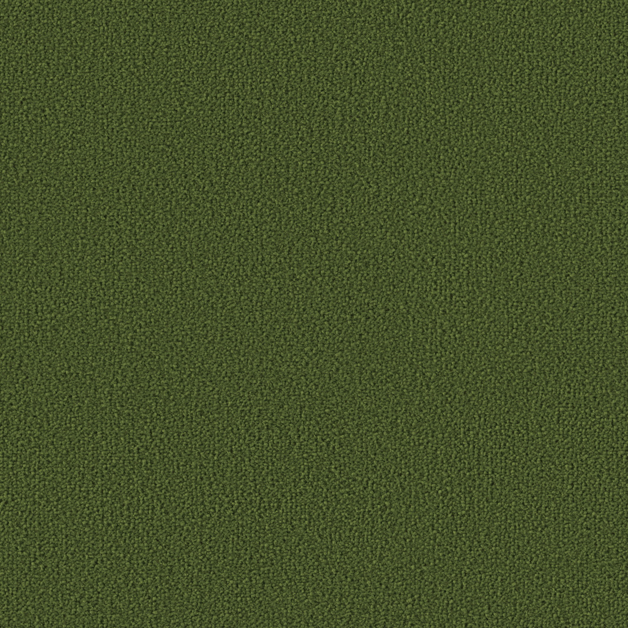 1405 Wasabi