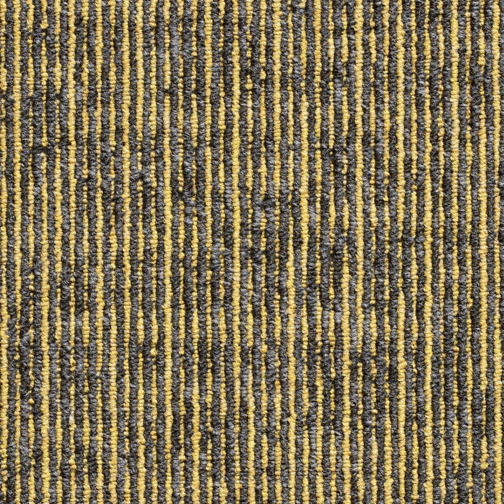 151