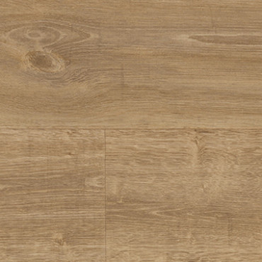 9823 English Oak