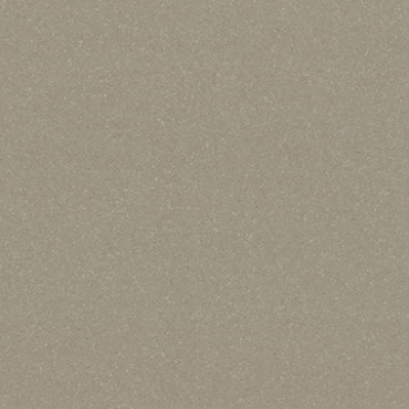 9841 Moleskin