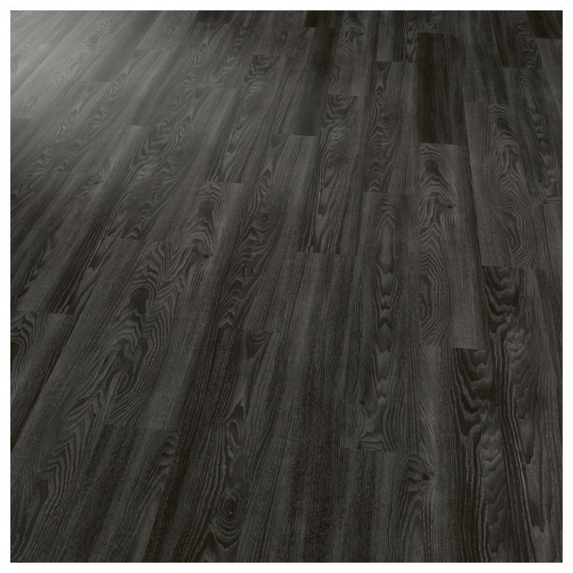 4035 Black Elm