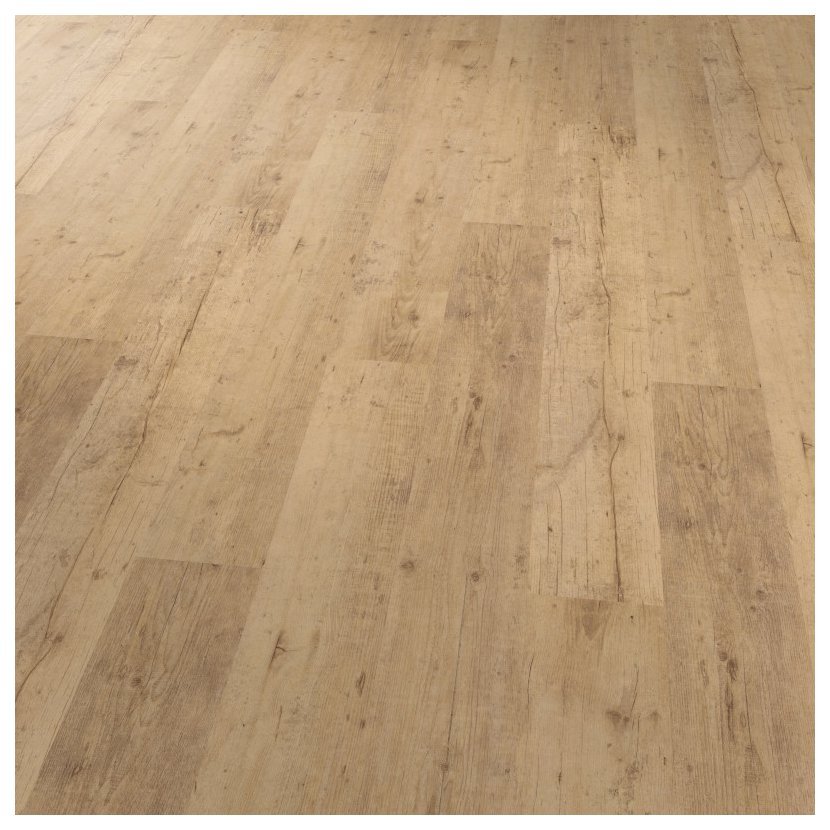 4078 Shoreline Oak